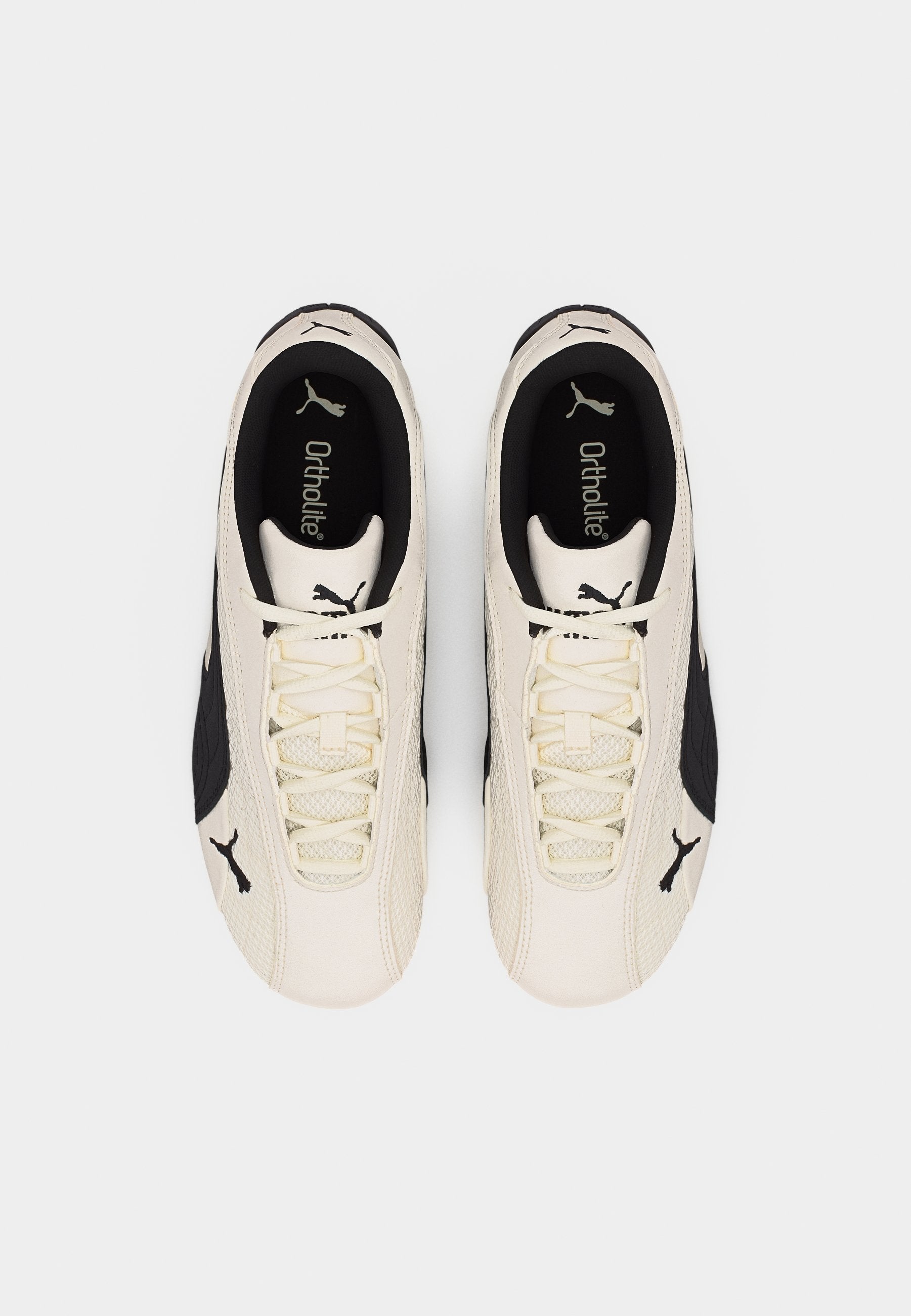 SPEEDCAT PLUS UNISEX - Trainers - warm white/black