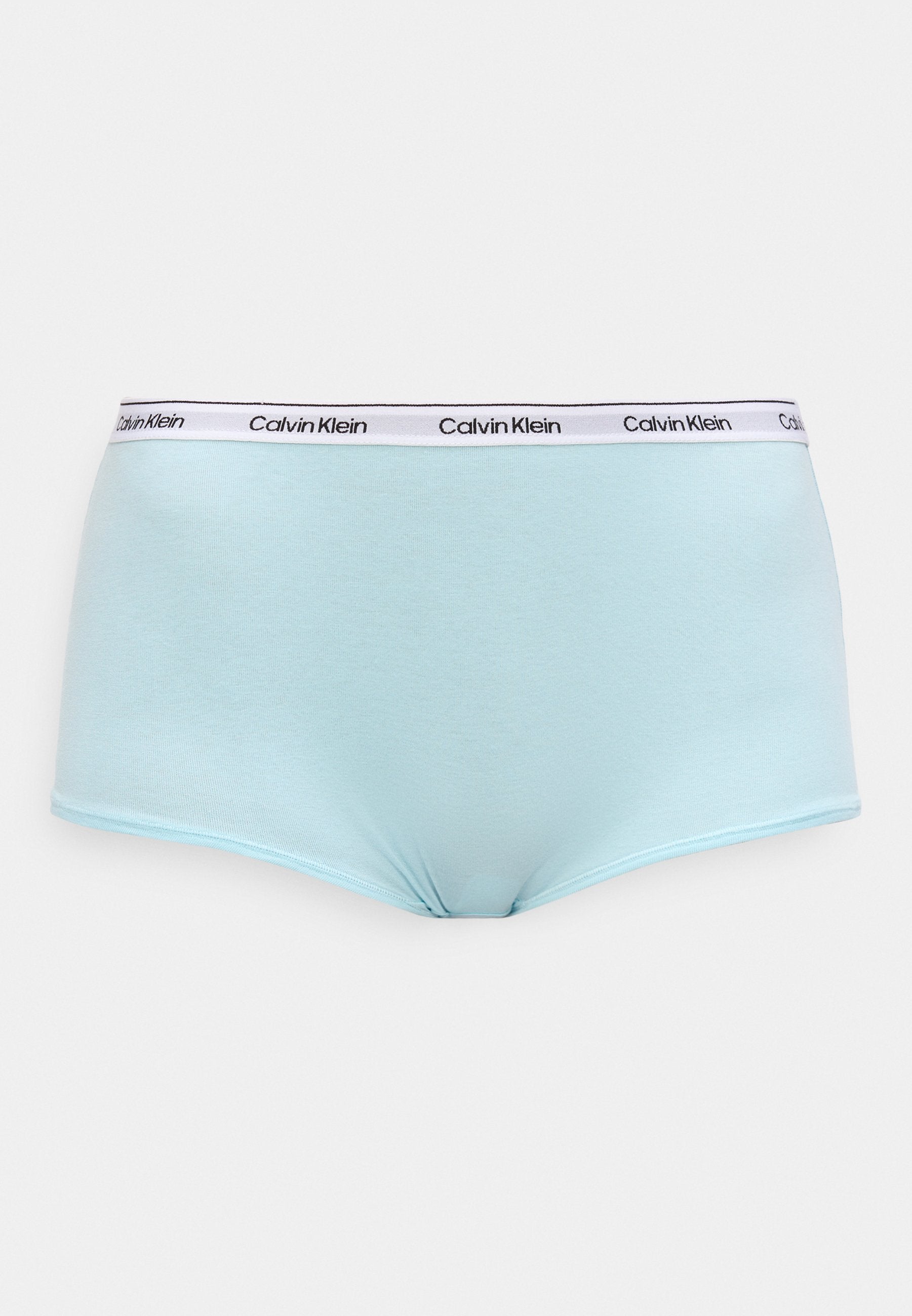 ICON LOGO - Boyshorts - antarctic blue