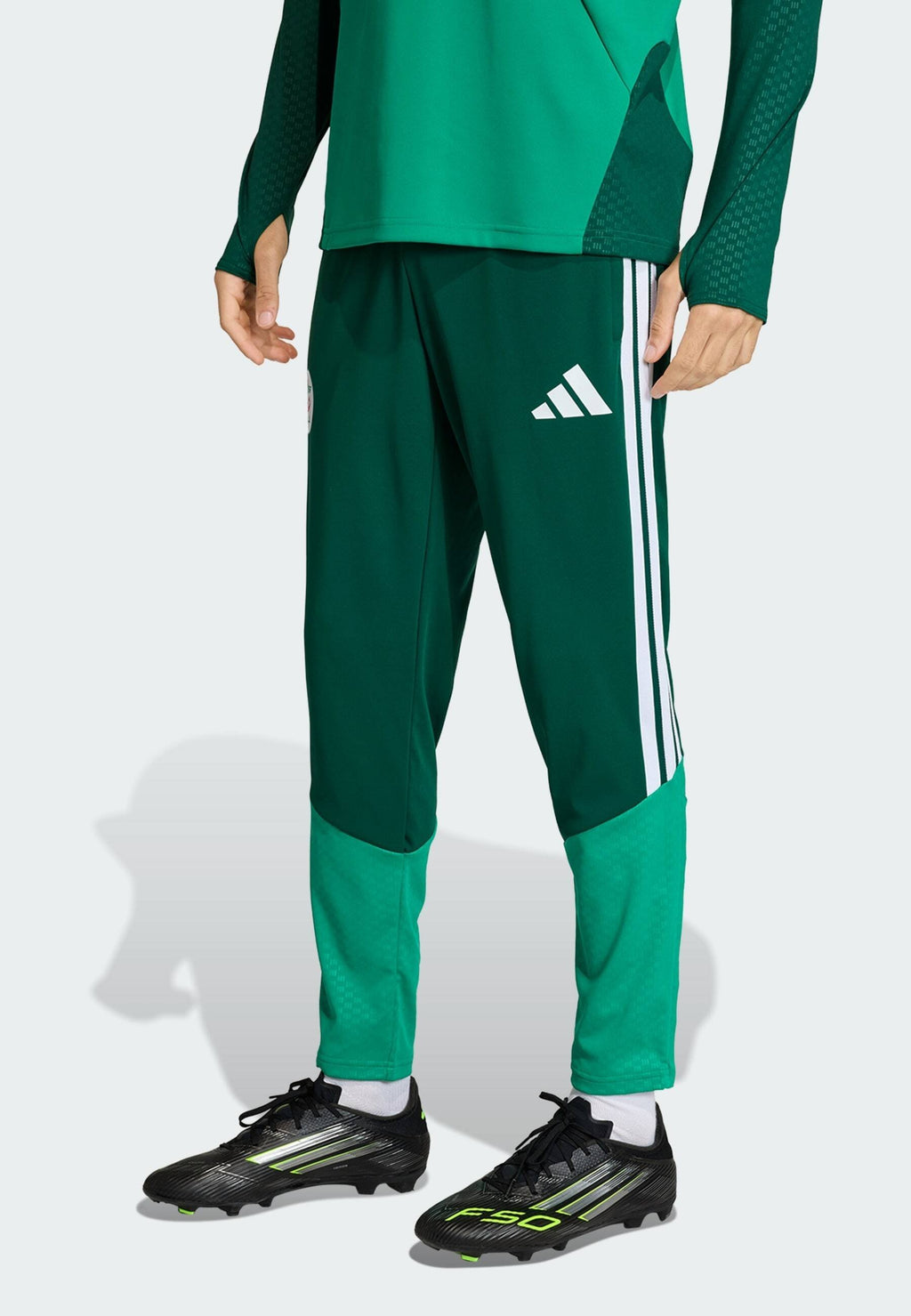 ALGERIA 26 TRAINING - National team wear - team dark green