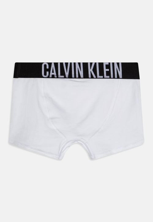3 PACK  - Boxer briefs - white/black/grey heather