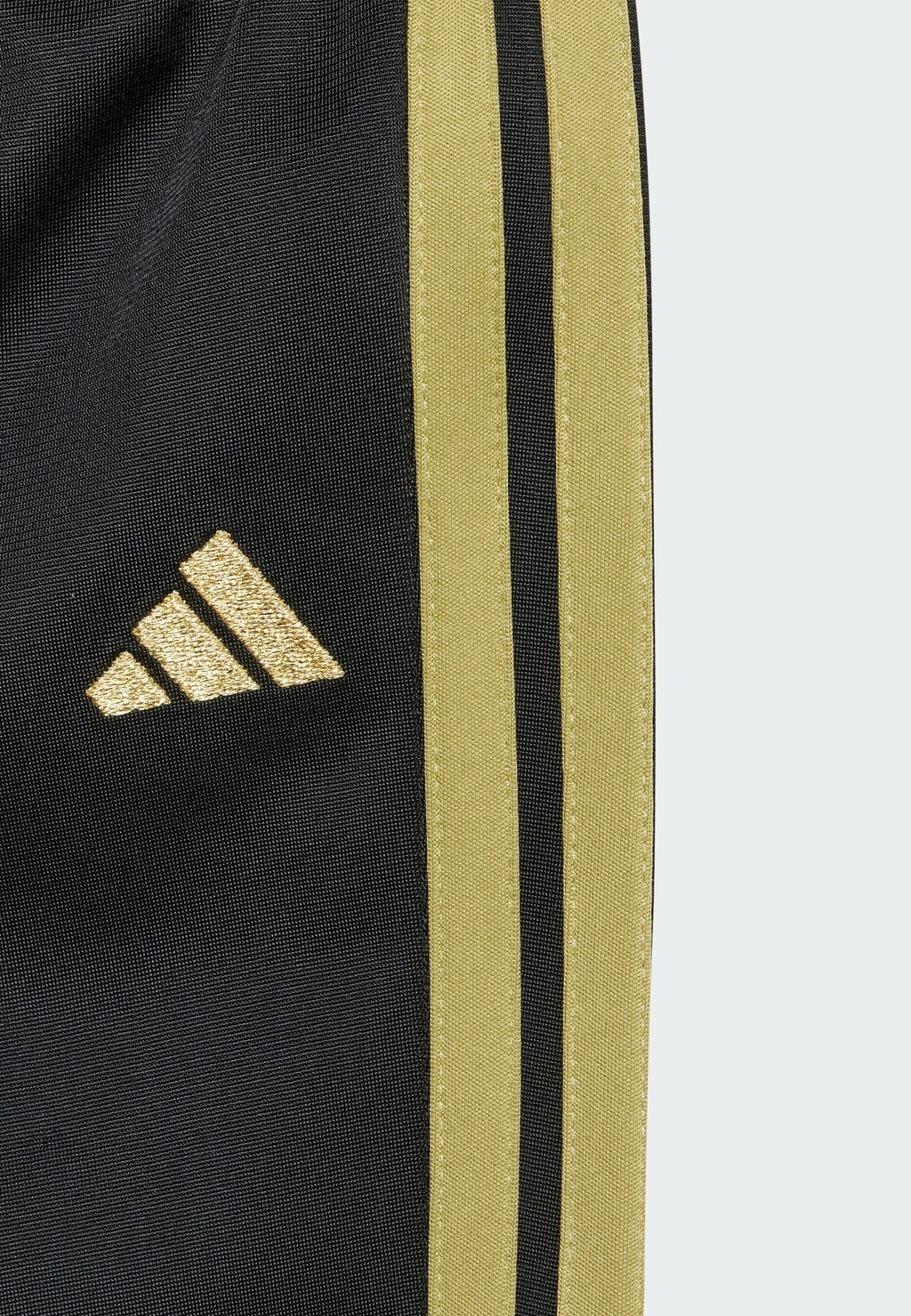 SET - Tracksuit - black   gold metallic