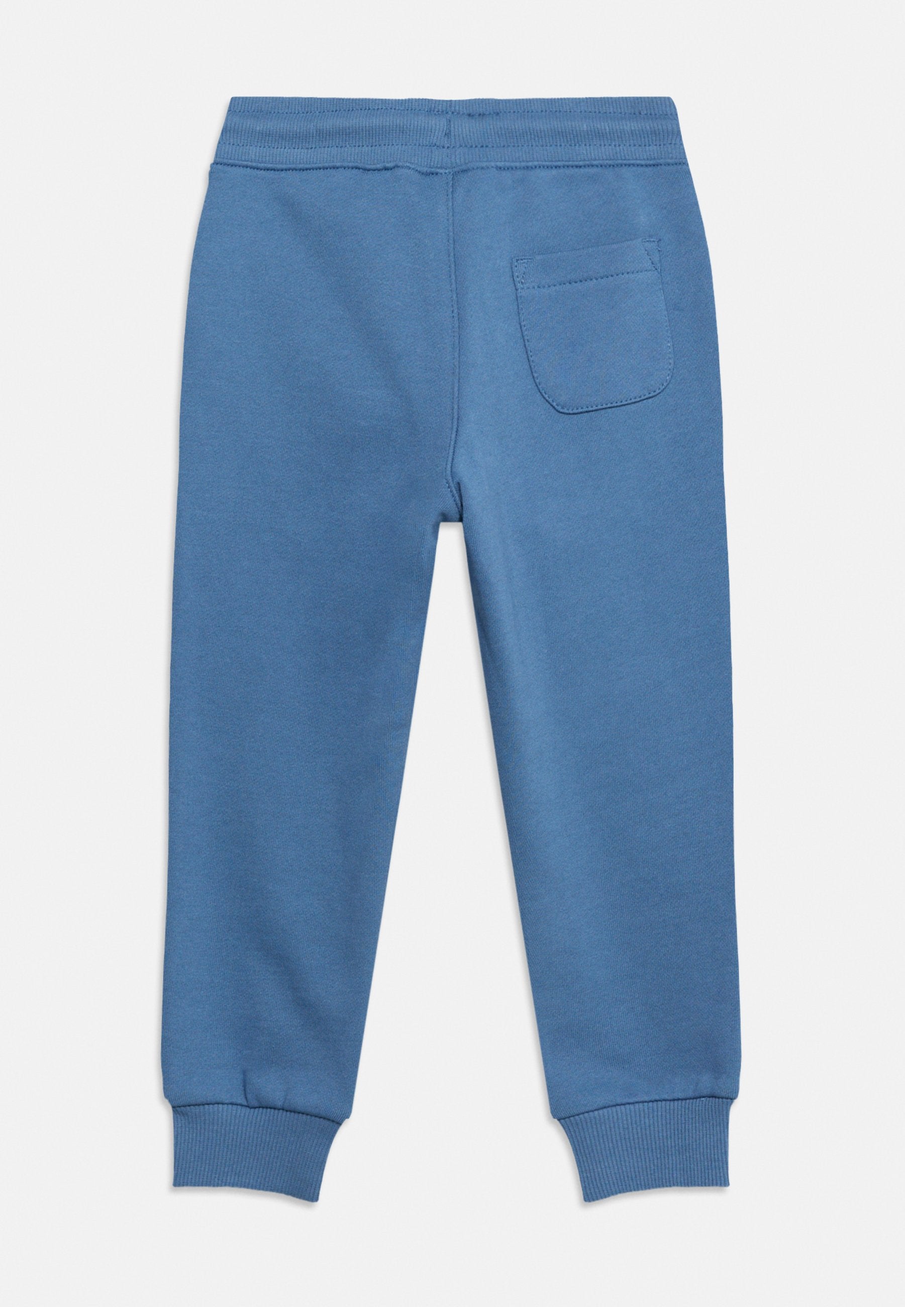 SHIELD UNISEX - Tracksuit bottoms - salty sea
