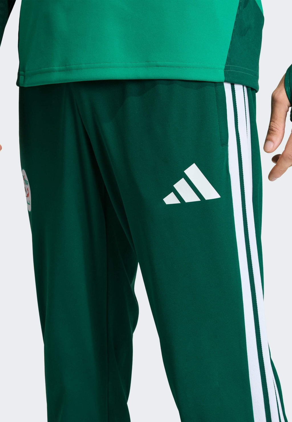 ALGERIA 26 TRAINING - National team wear - team dark green