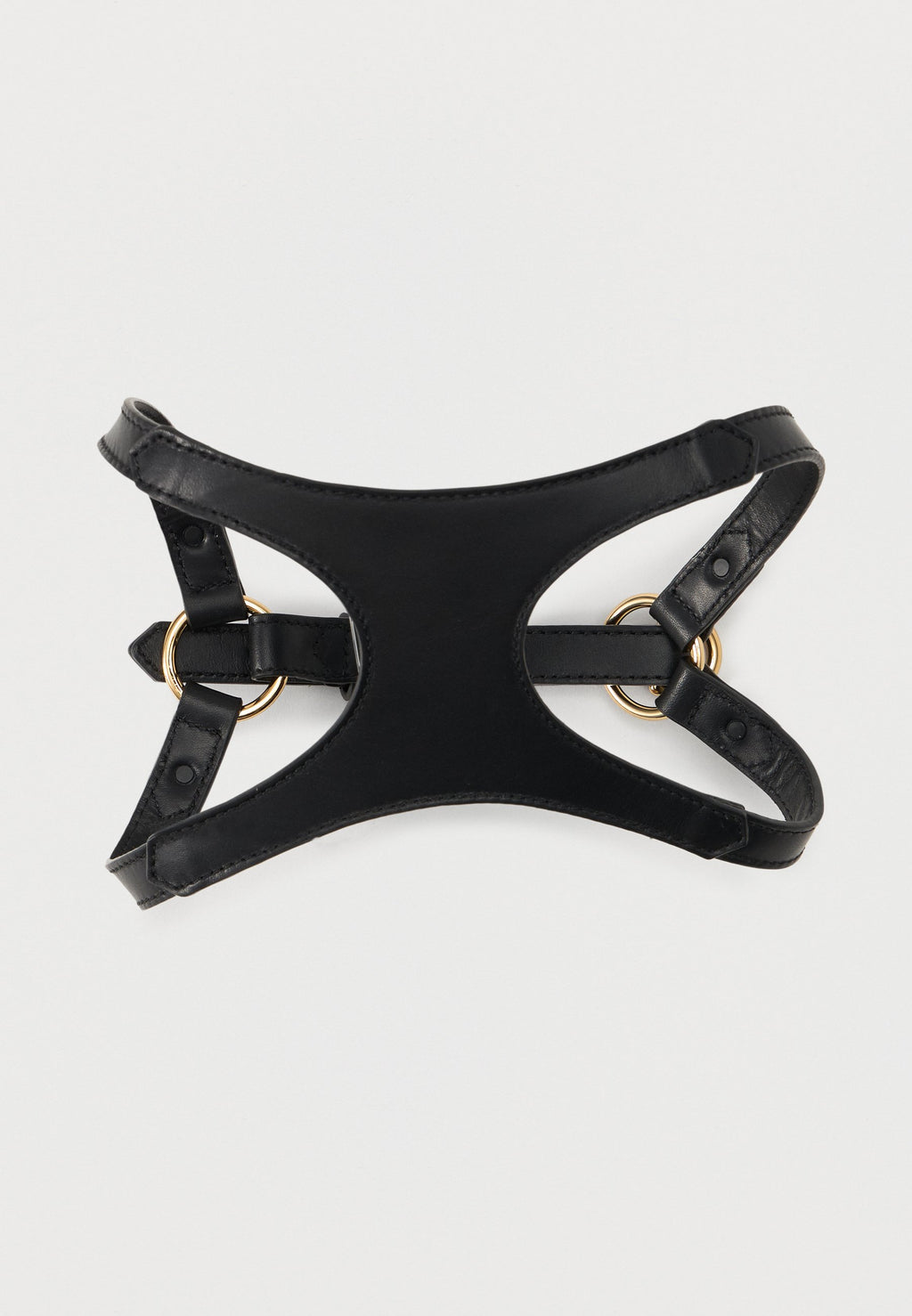 COLLAR AND LEASH ICON - Pet accessory - black