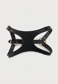 COLLAR AND LEASH ICON - Pet accessory - black