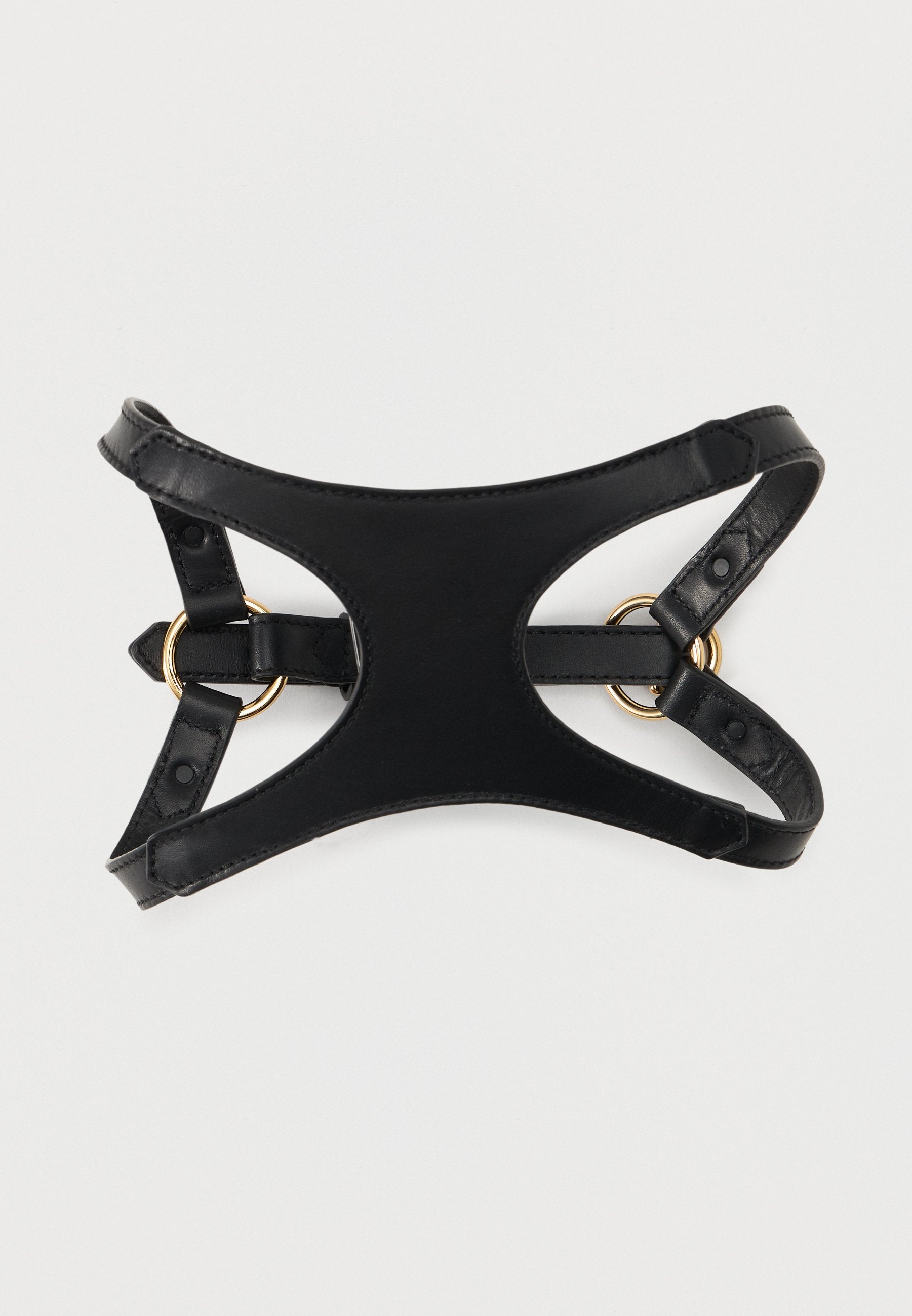 COLLAR AND LEASH ICON - Pet accessory - black