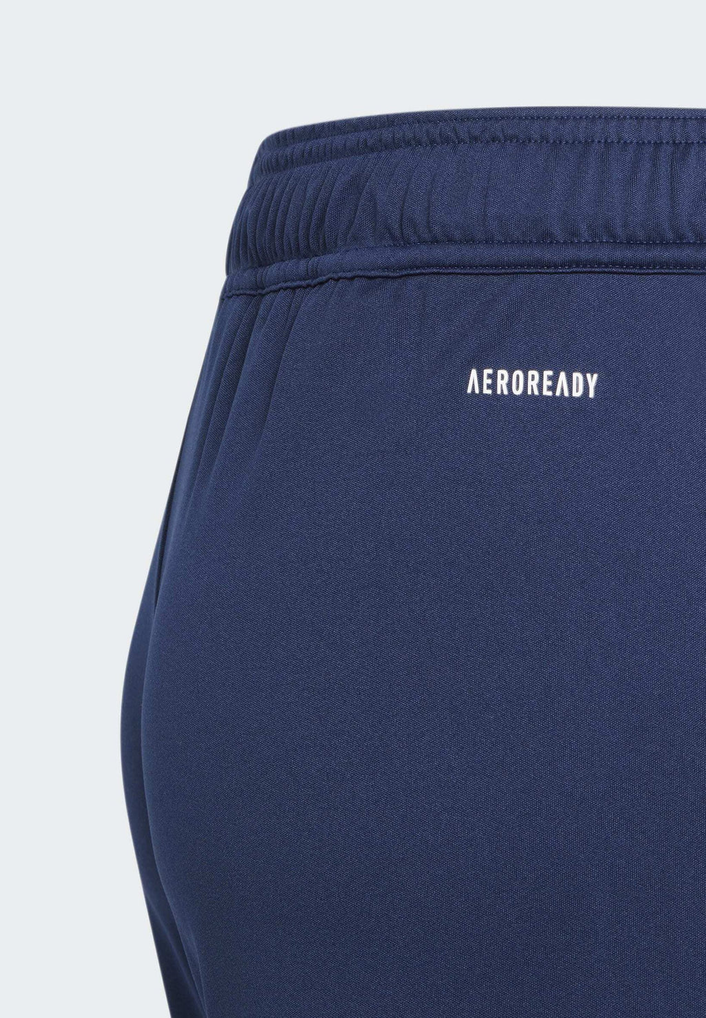 FORTORE 23 - Sports shorts - team navy blue   royal blue   white   team collegiate red