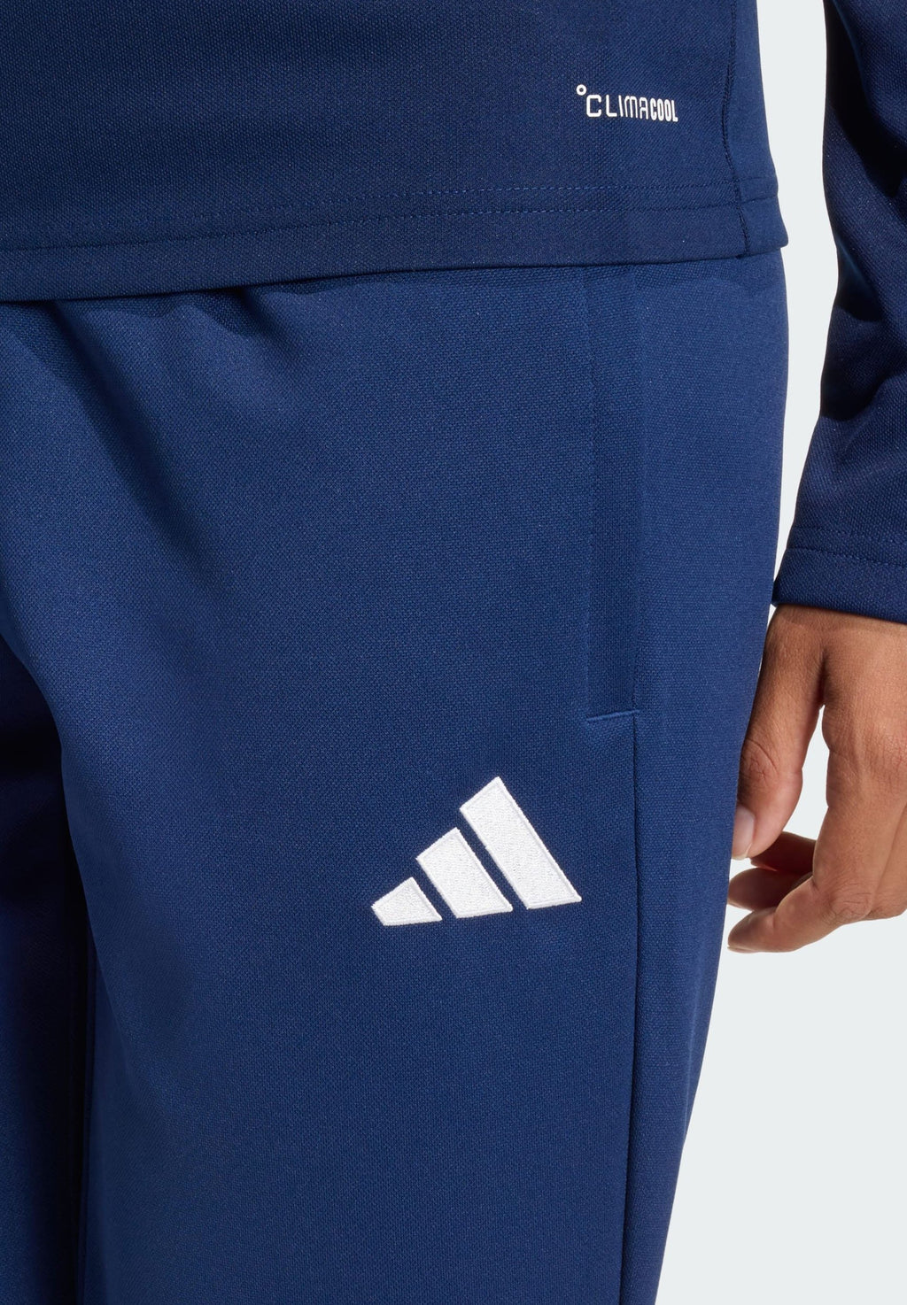 ENTRADA26 - Tracksuit bottoms - team navy blue /white
