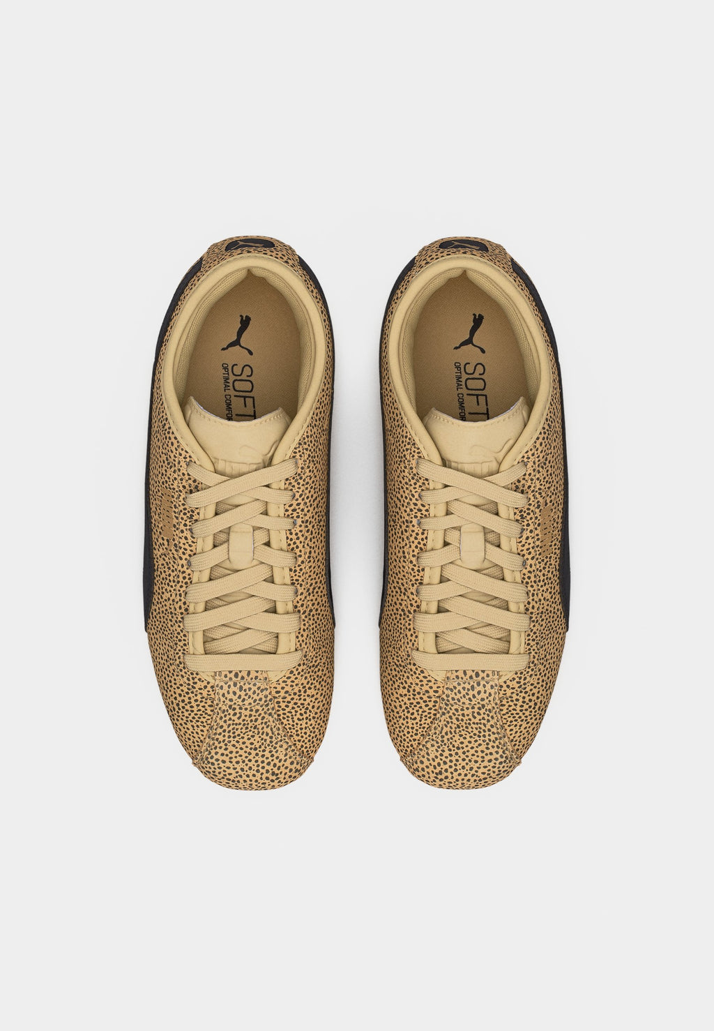 TACKLE TOPCAT - Trainers - toasted almond/black
