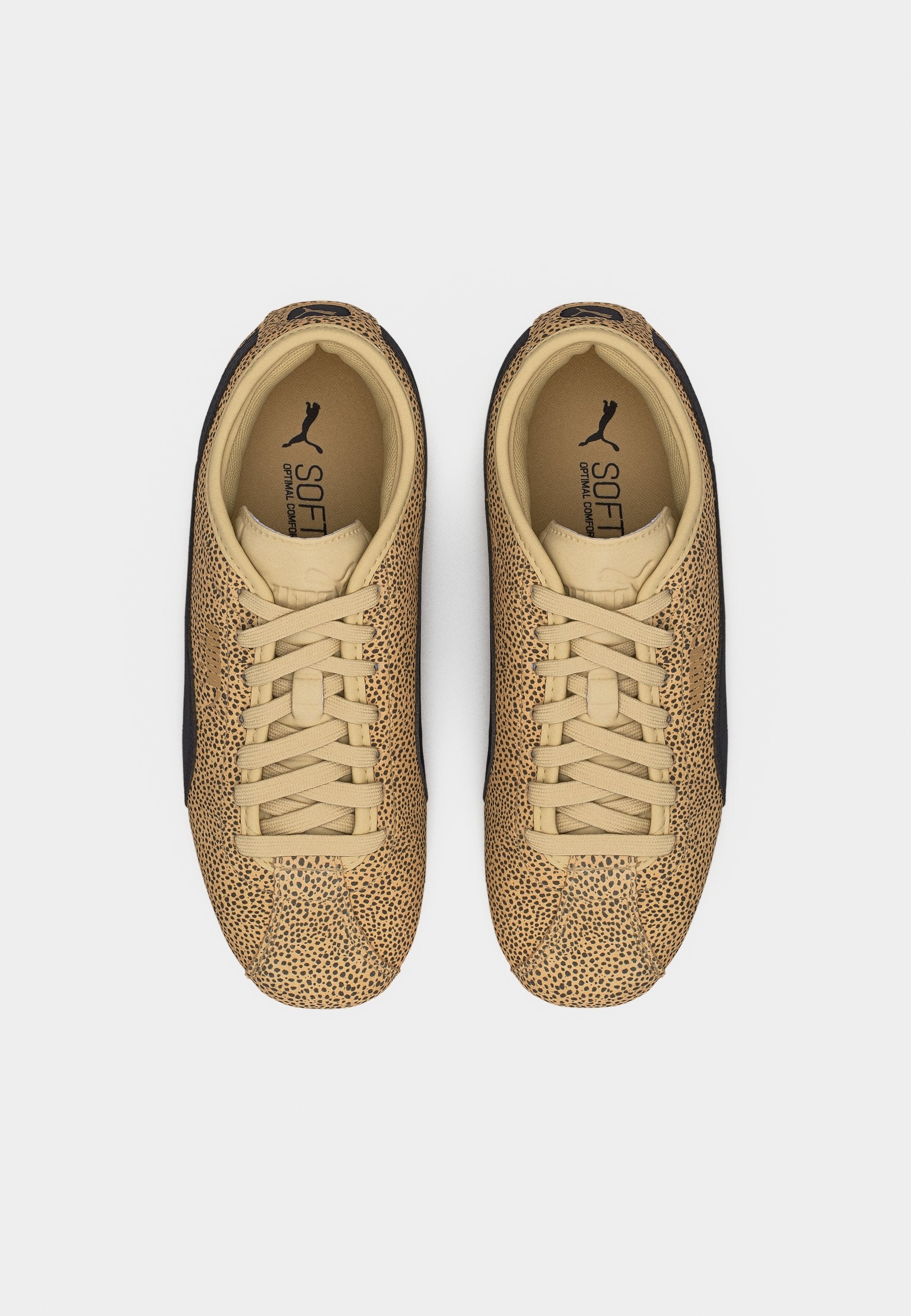 TACKLE TOPCAT - Trainers - toasted almond/black