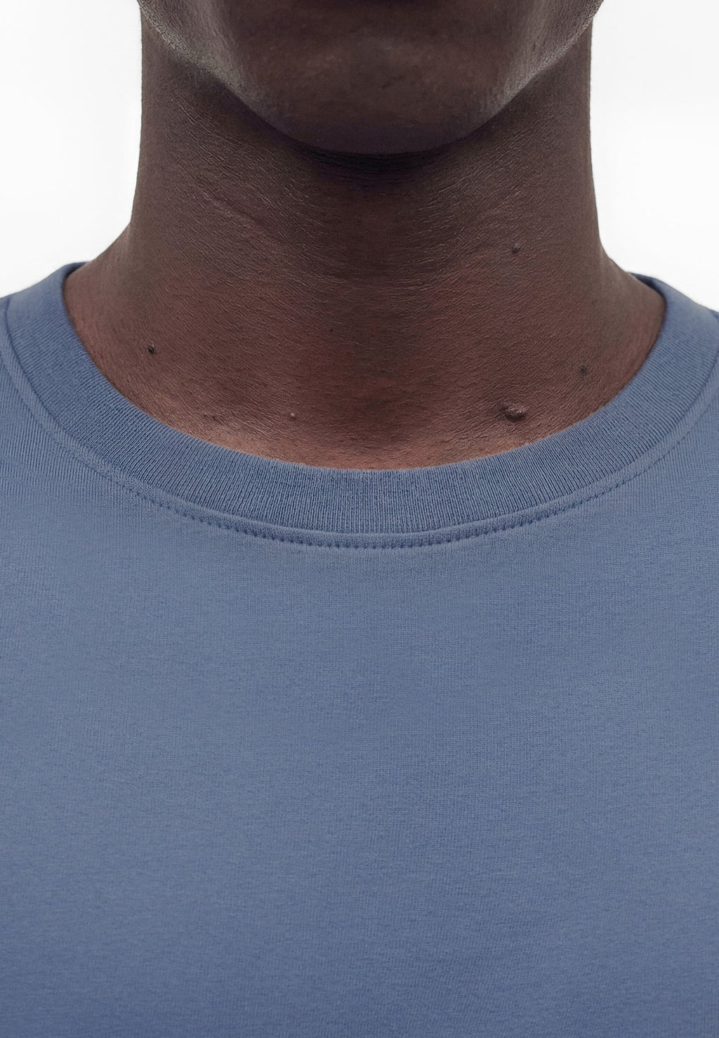 CLASSIC - Basic T-shirt - frozen lake