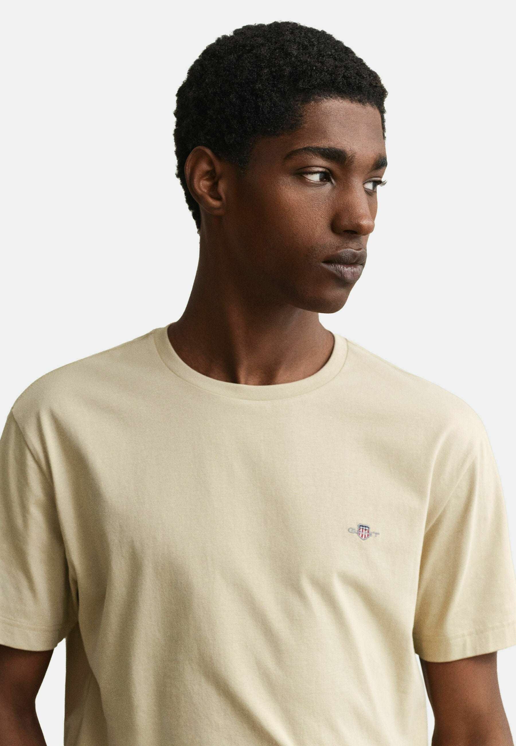 REG SHIELD SS T-SHIRT - Basic T-shirt - oat beige