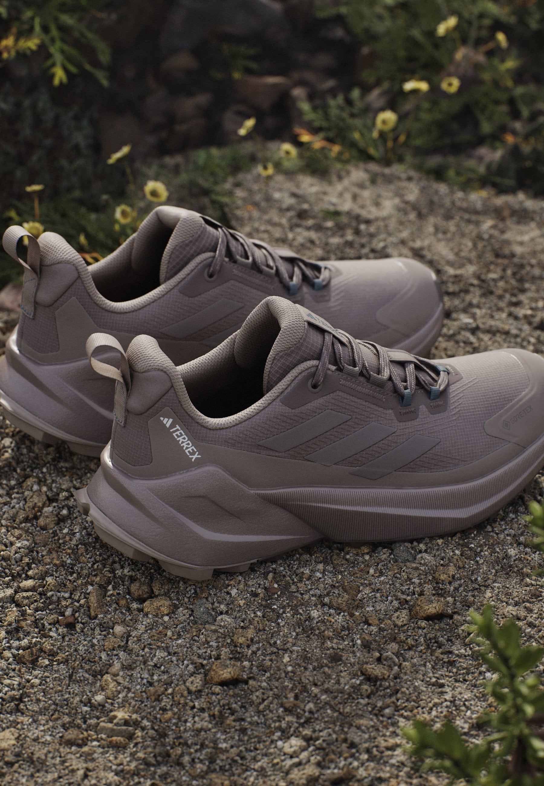 TRAILMAKER 2 GORE TEX - أحذية مشي - بني ترابي/بني طباشيري