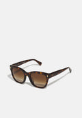 Sunglasses - shiny dark havana