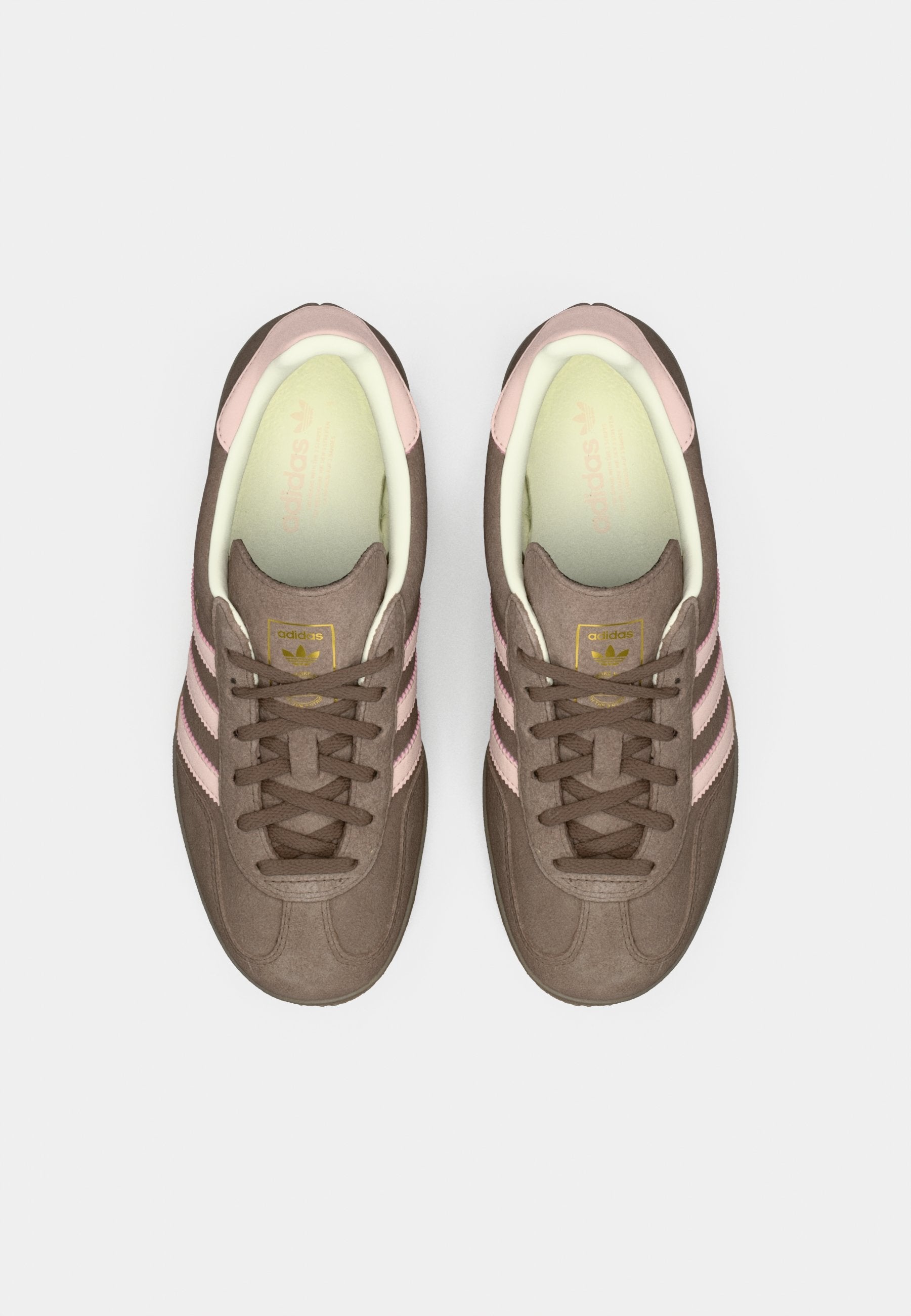 GAZELLE INDOOR - Trainers - earth strata