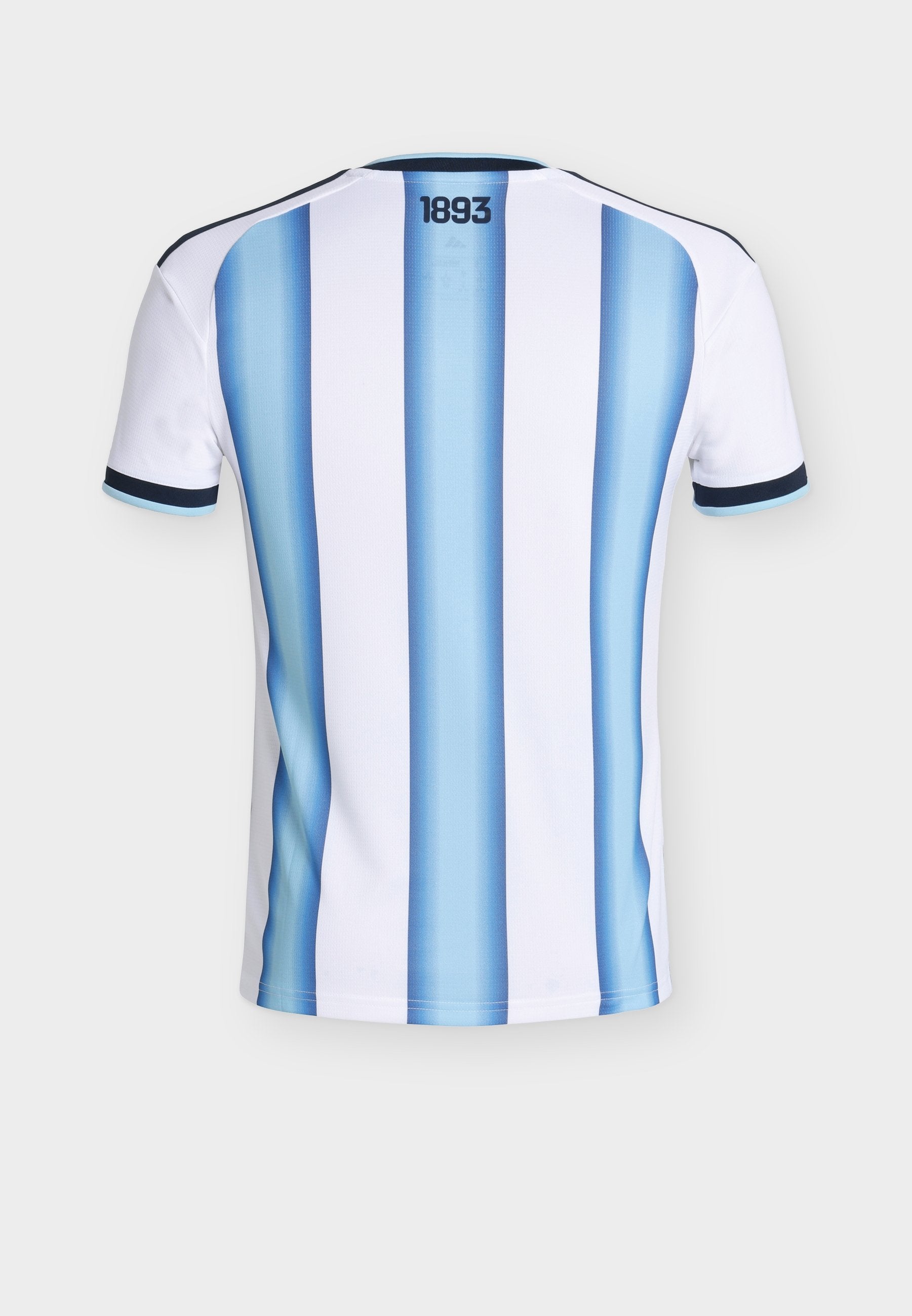 ARGENTINA 26 HOME - National team wear - white/icey blue/light blue