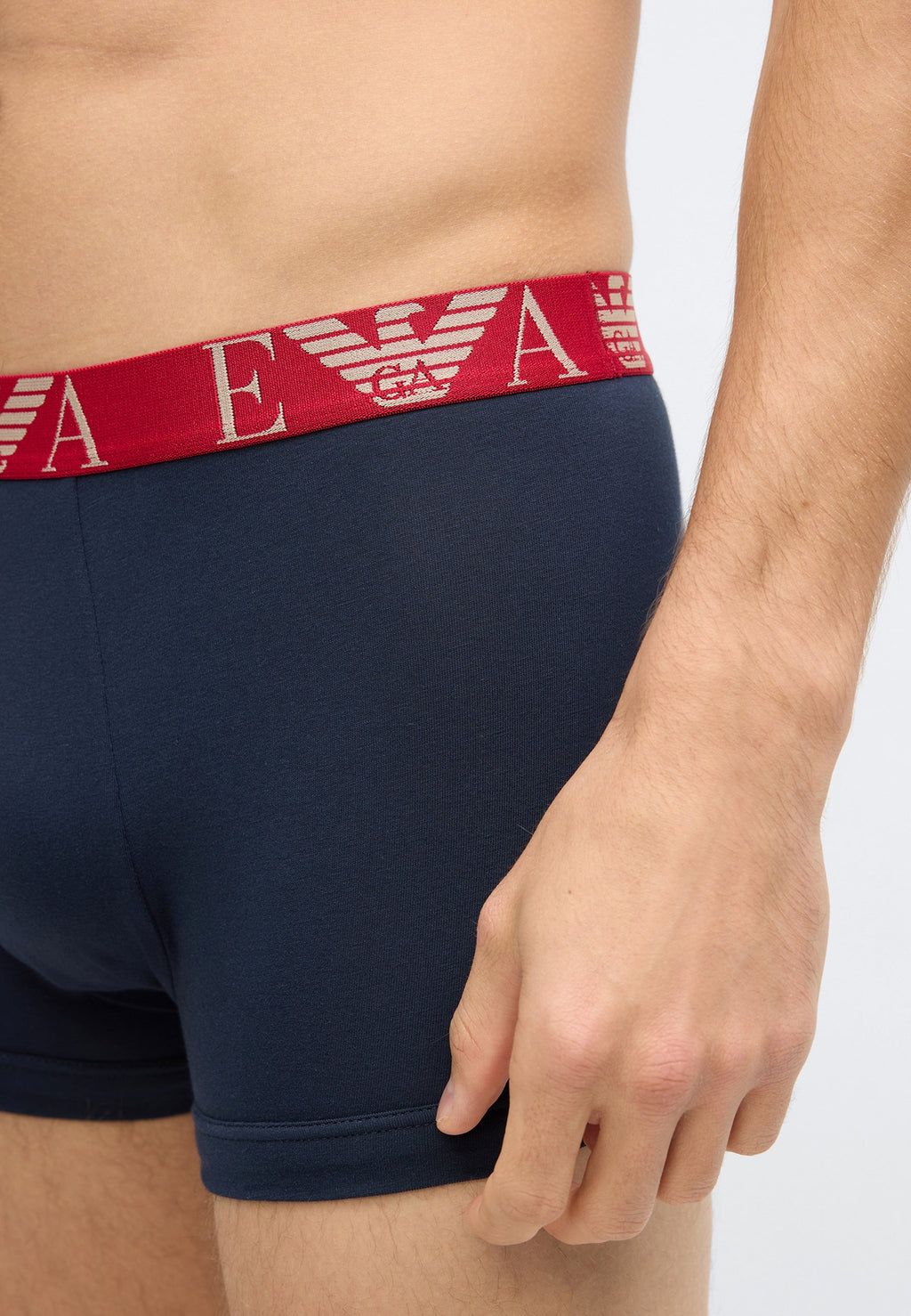 BOLD MONOGRAM TRUNK 3 PACK - Trunks - blue/scooter