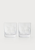 GARRETT DOF 2 PACK - Glass - clear