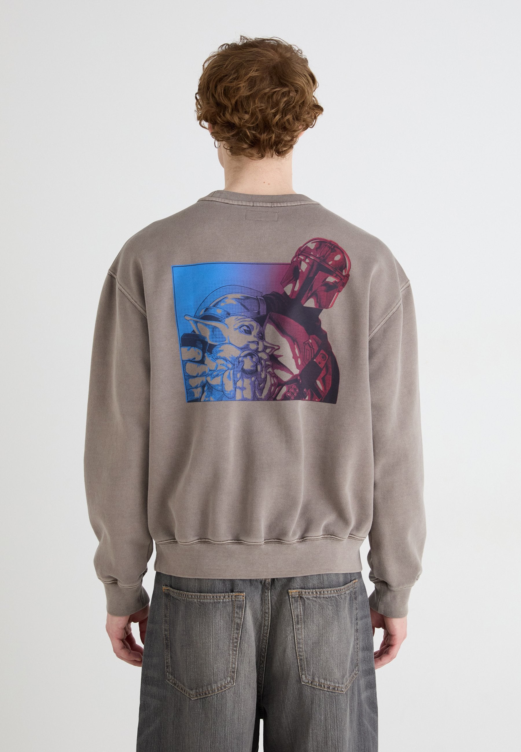 CREW - Sweatshirt - plymouth rock