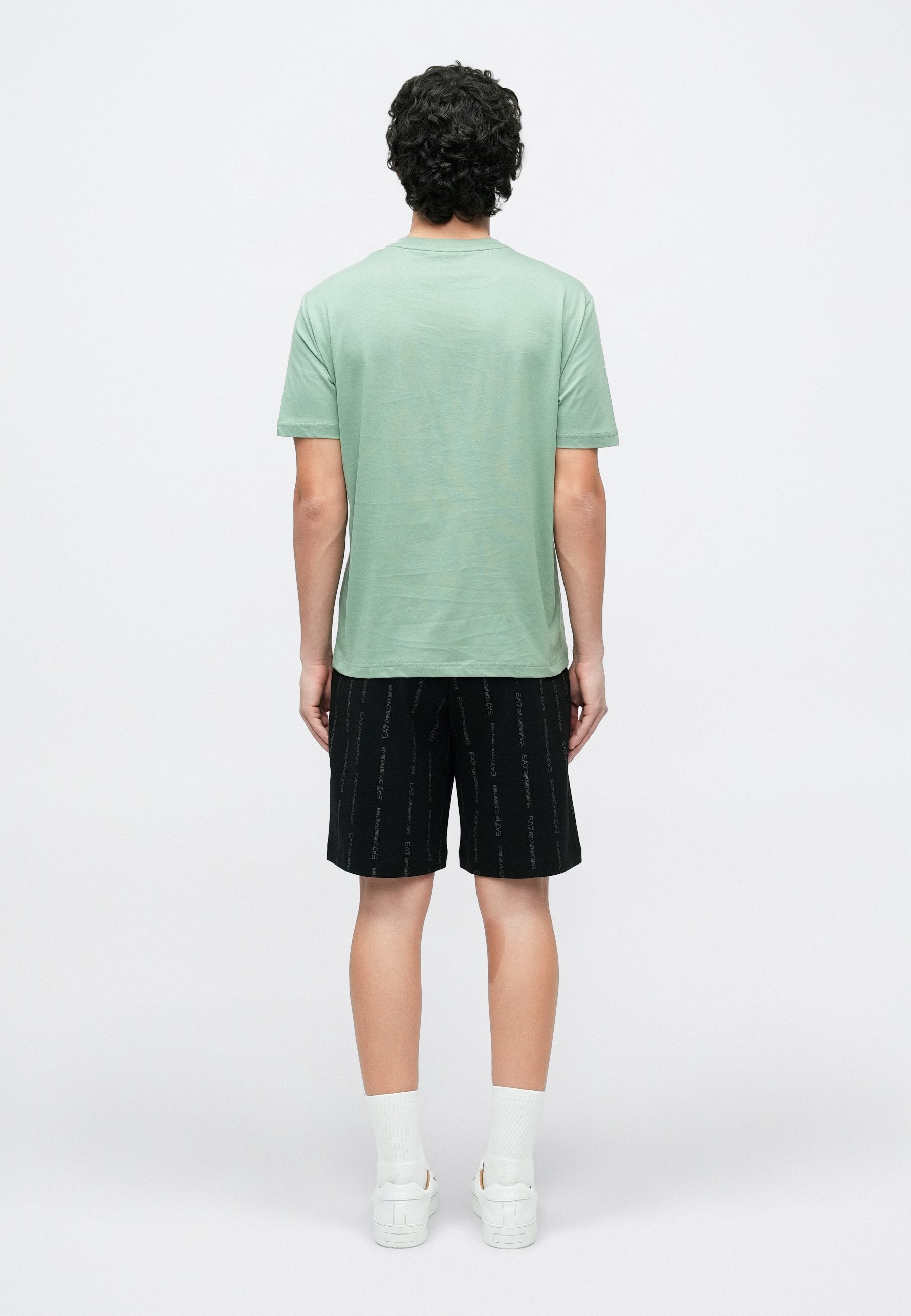 TRAIN VISIBILITY TEE UNISEX - Print T-shirt - green bay