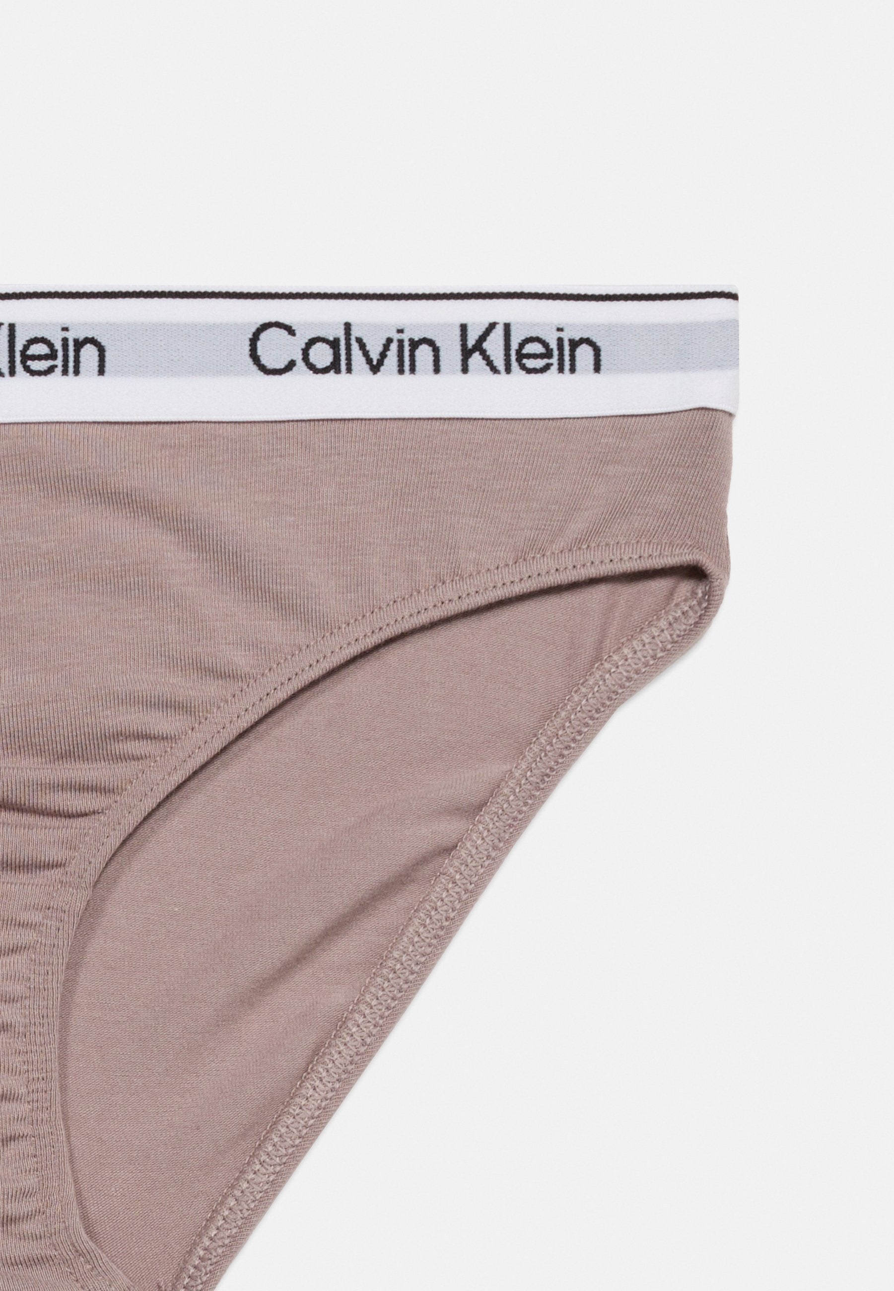 2 PACK - Briefs - bright white/dusted fox