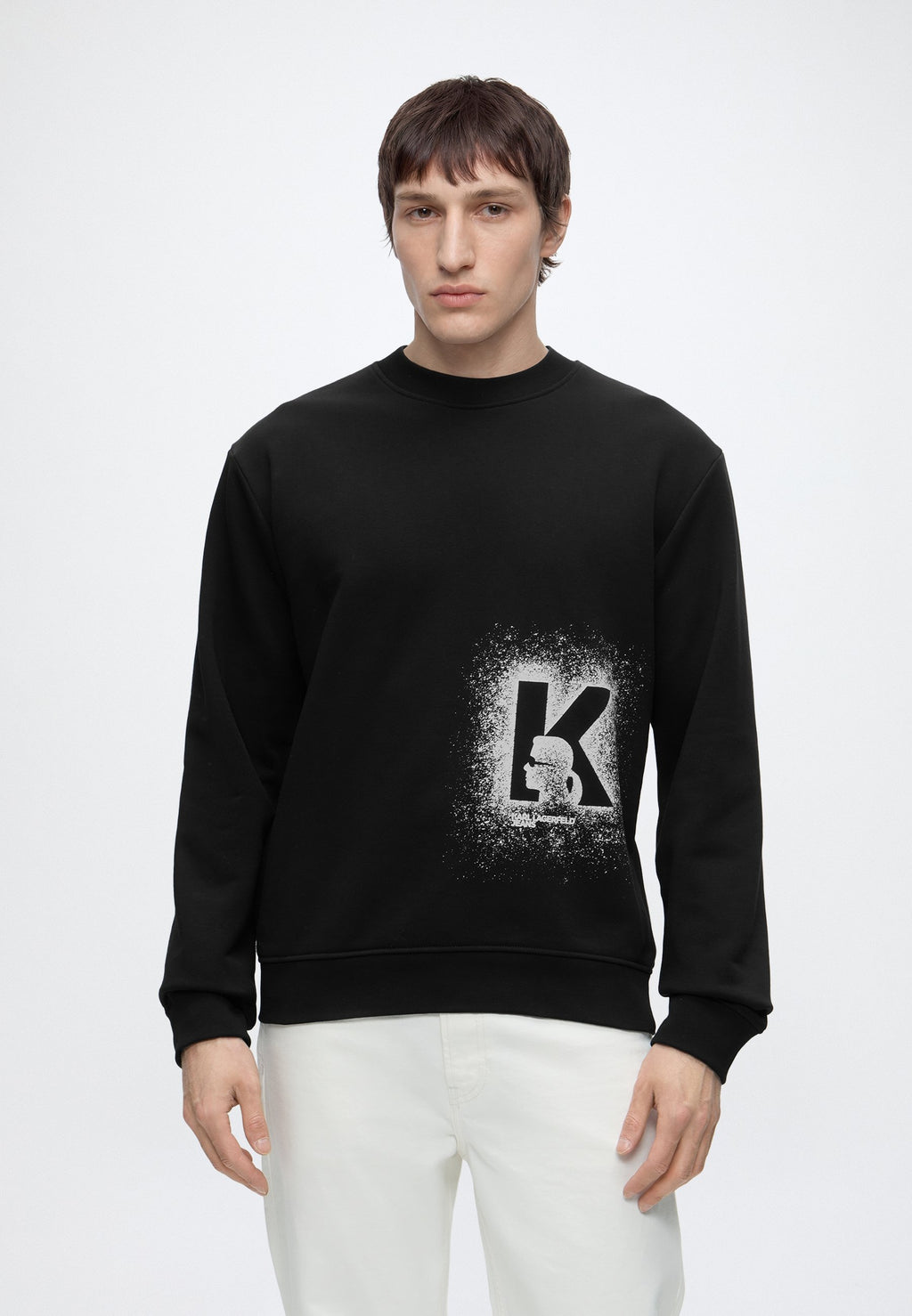 REG LOGO SWEAT - Sweatshirt - black