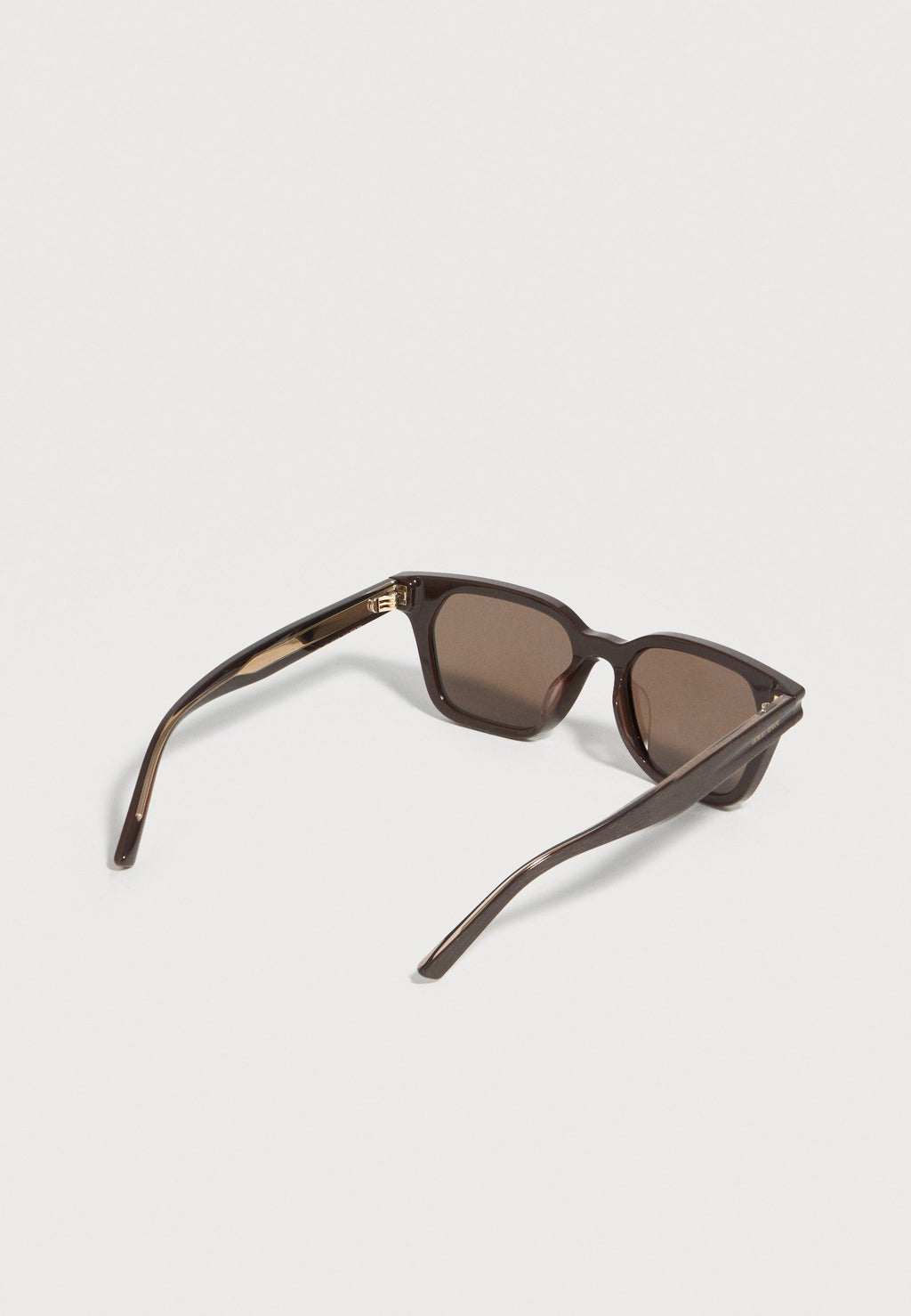 Sunglasses - brushed brown