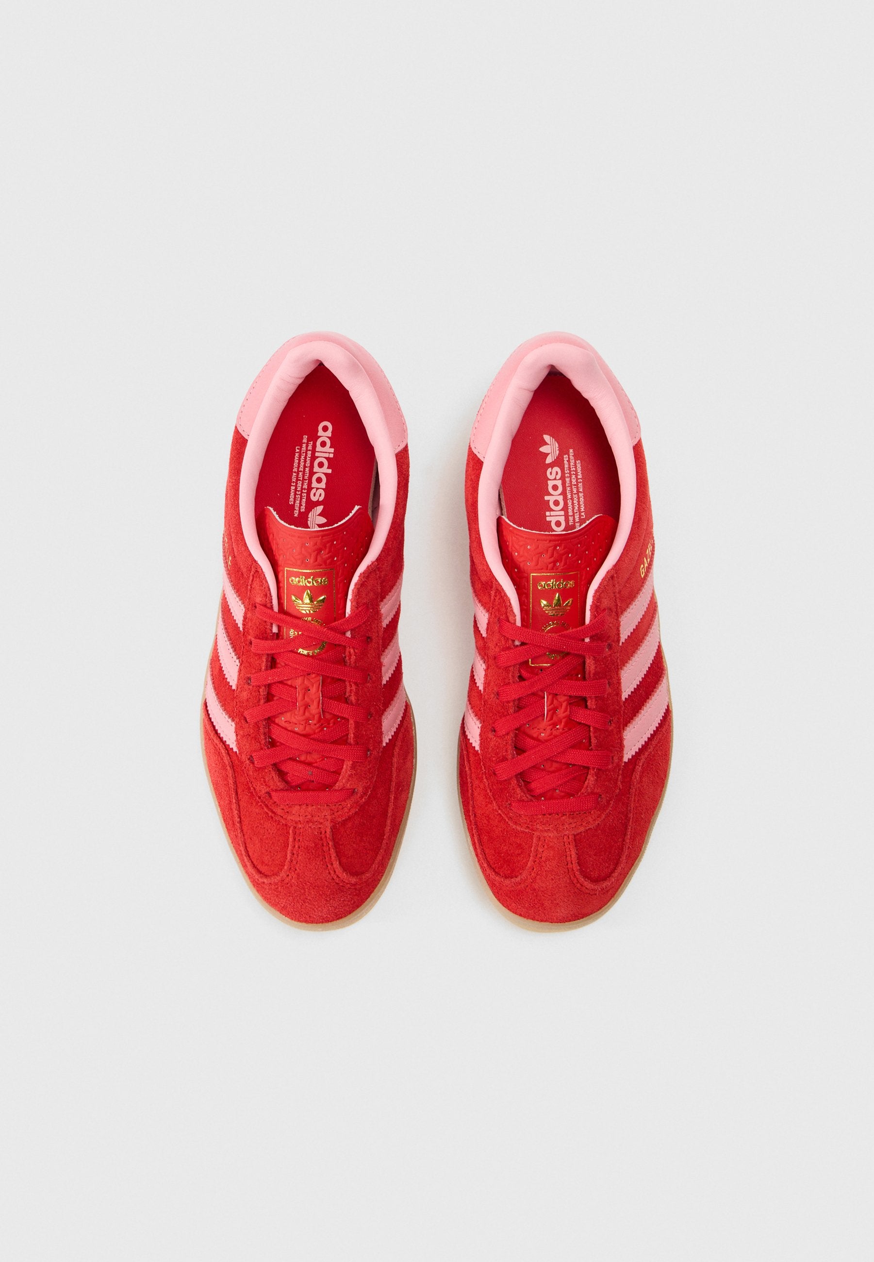 GAZELLE INDOOR - Trainers - better scarlet/light pink/gum