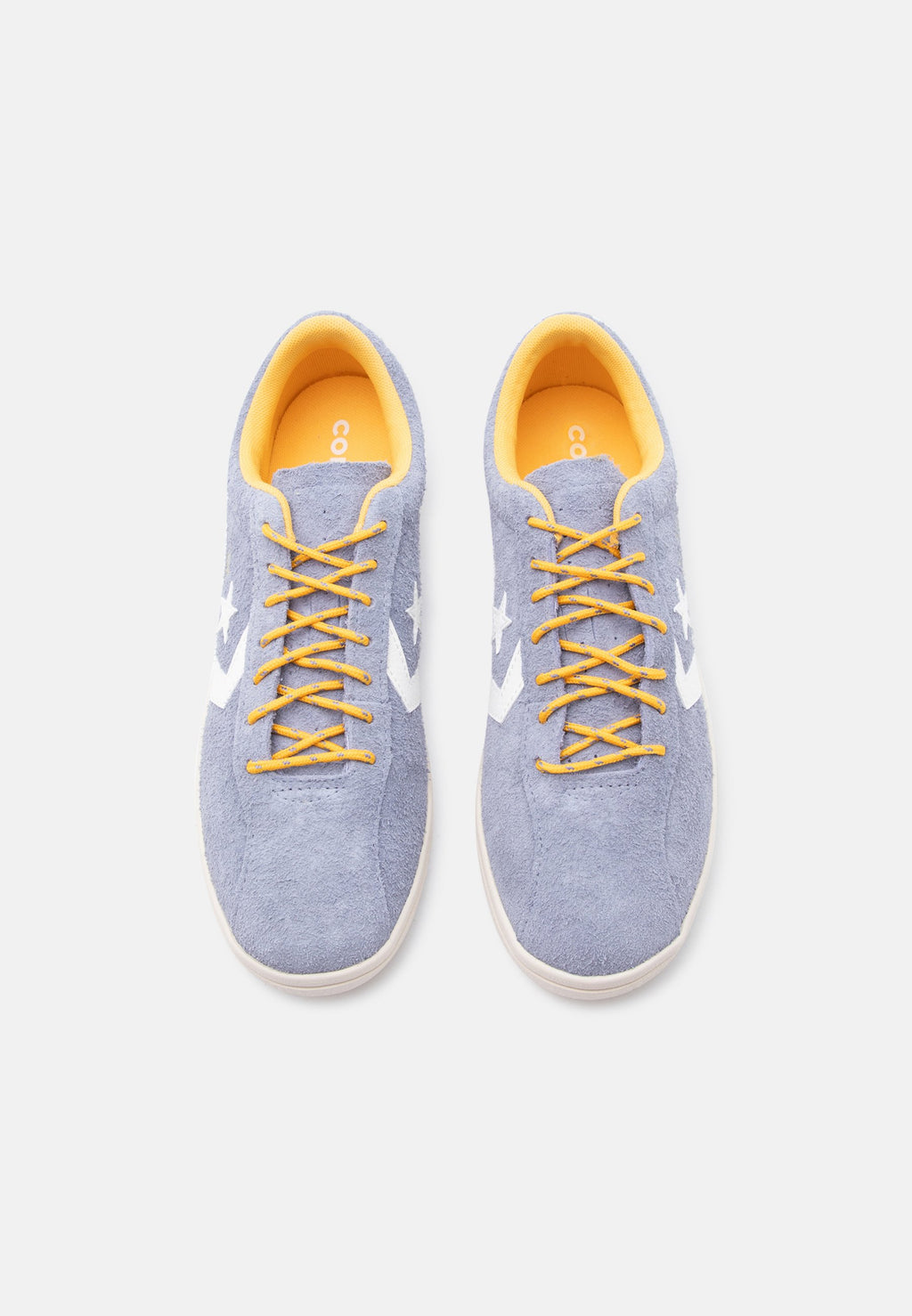 ALL STAR CLASSIC TRAINER UNISEX - Trainers - thunder whale/gold-coloured palm/egret