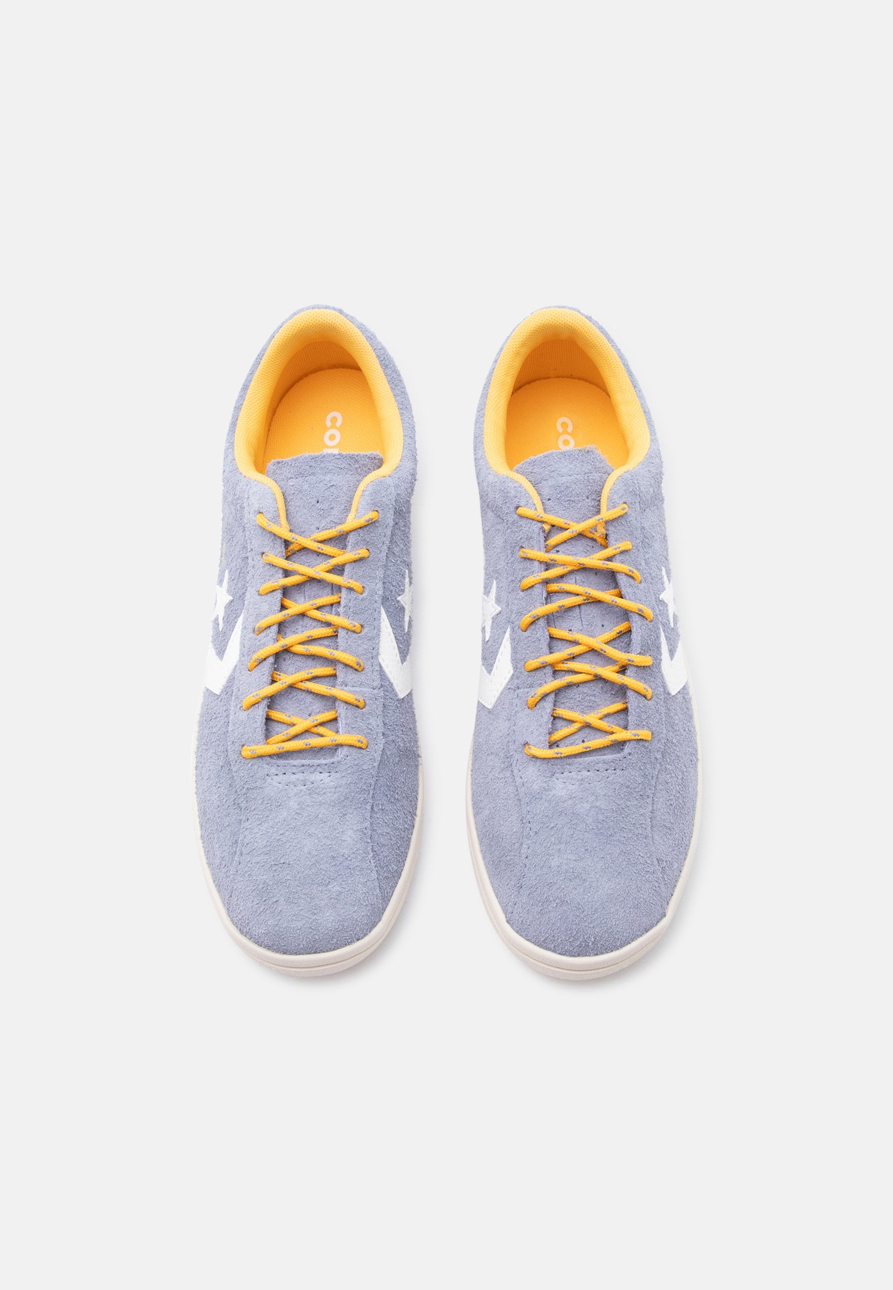 ALL STAR CLASSIC TRAINER UNISEX - Trainers - thunder whale/gold-coloured palm/egret