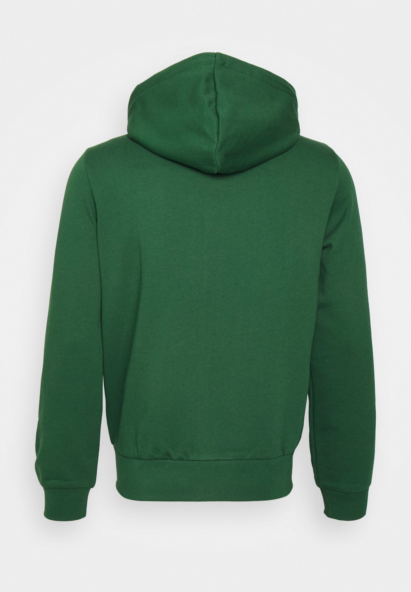 Zip-up sweatshirt - vert