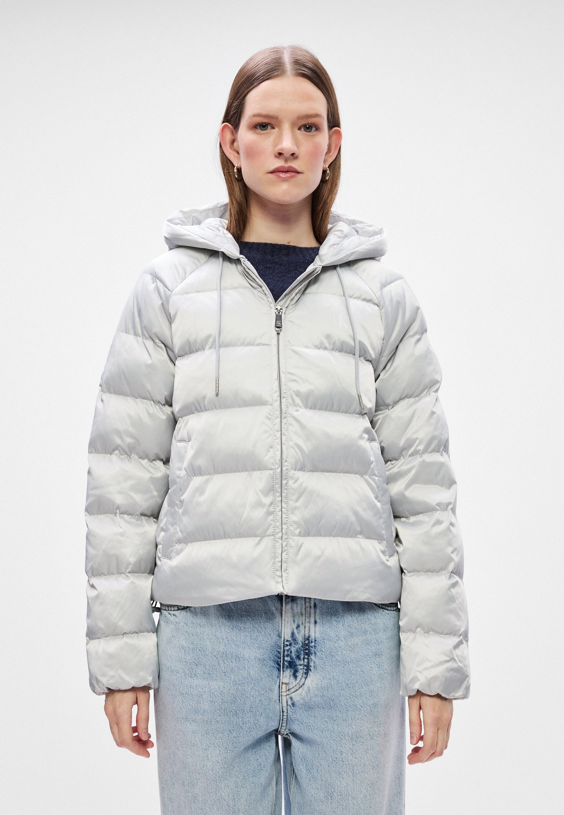 LIGHTWEIGHT LOGO  - Winter jacket - quiet gray