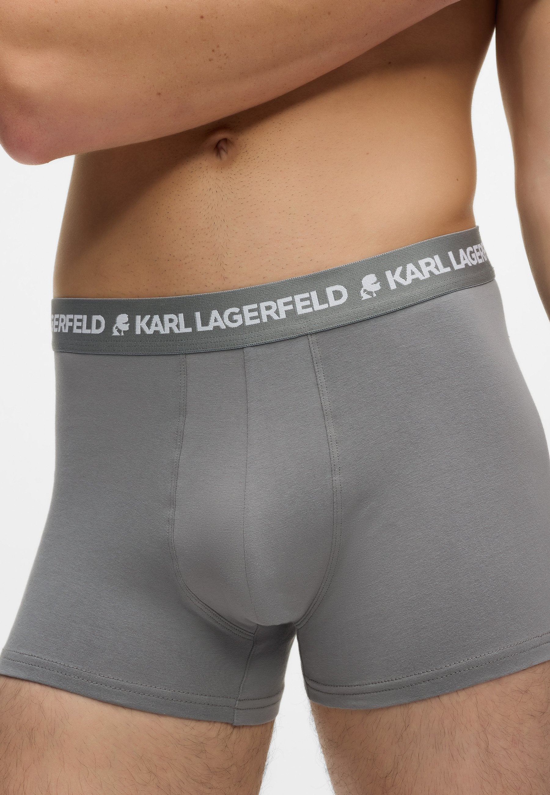 LOGO TRUNK 3 PACK - Trunks - navy-coffee-sedona