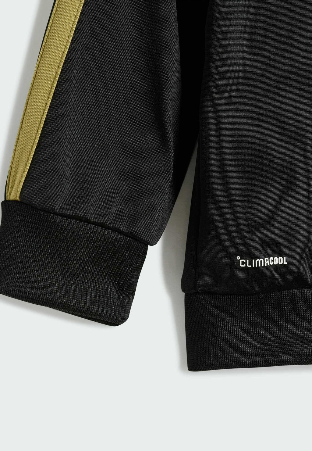 SET - Tracksuit - black   gold metallic