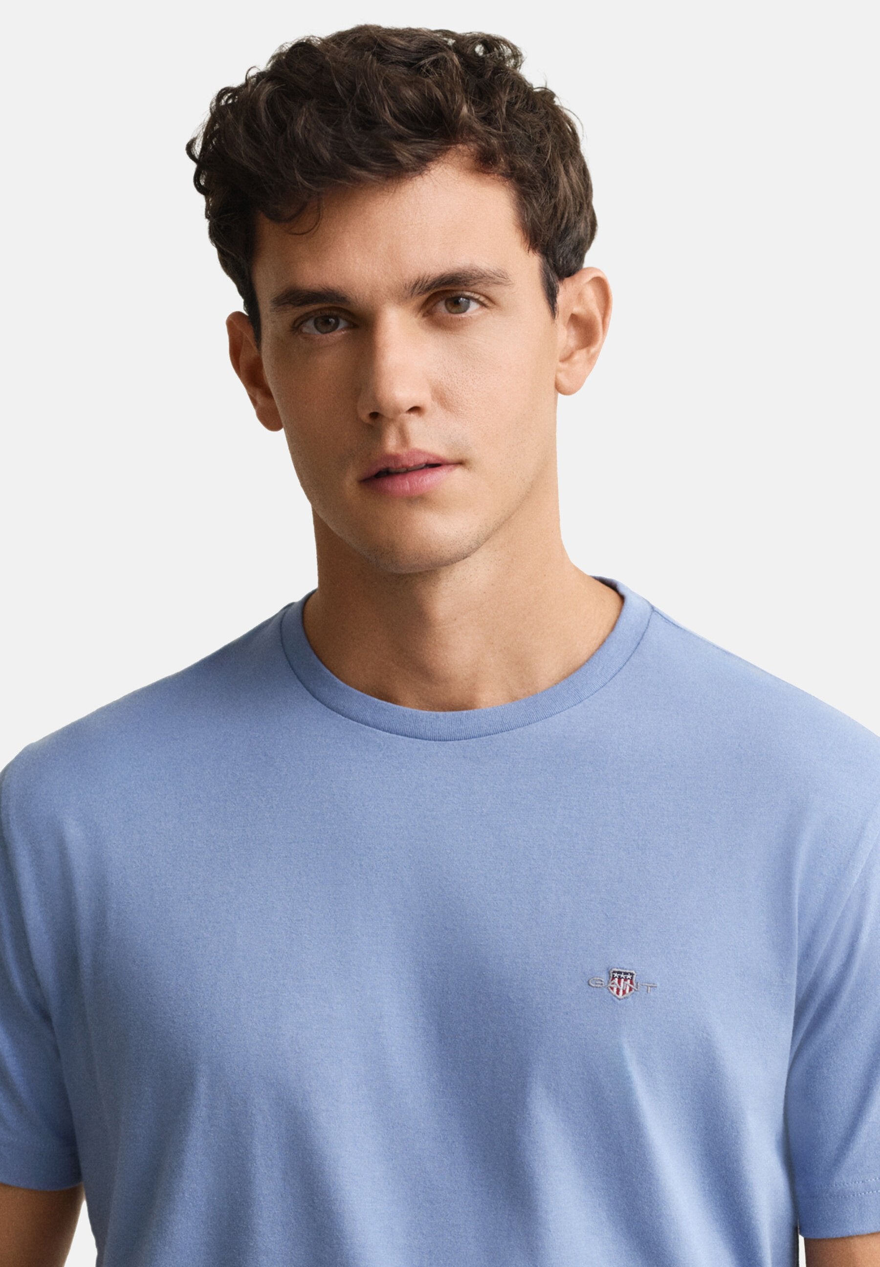 T-SHIRT REG SHIELD MANCHES COURTES - T-shirt basique - denim délavé