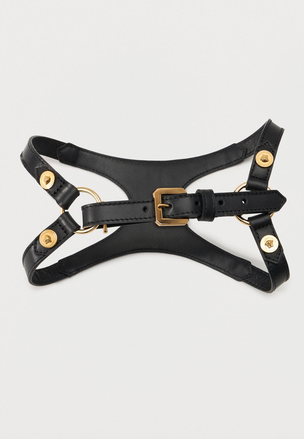 COLLAR AND LEASH ICON - Pet accessory - black