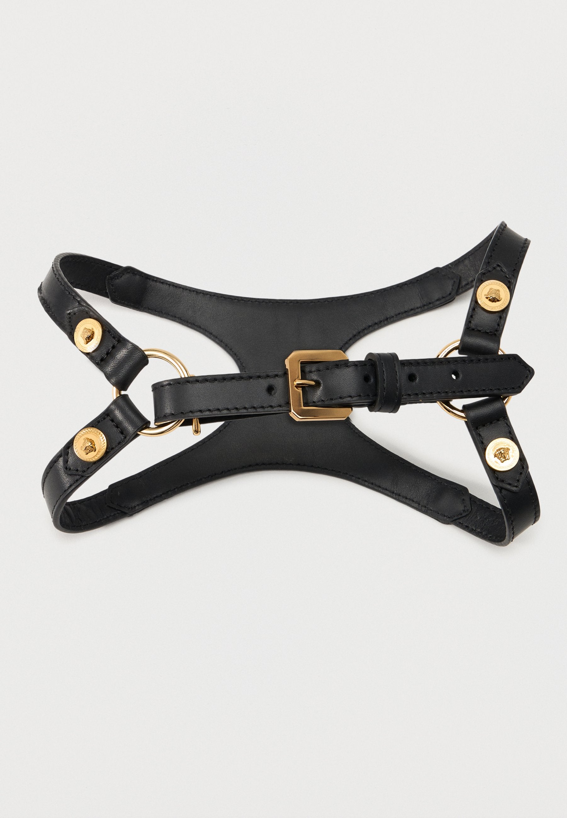 COLLAR AND LEASH ICON - Pet accessory - black