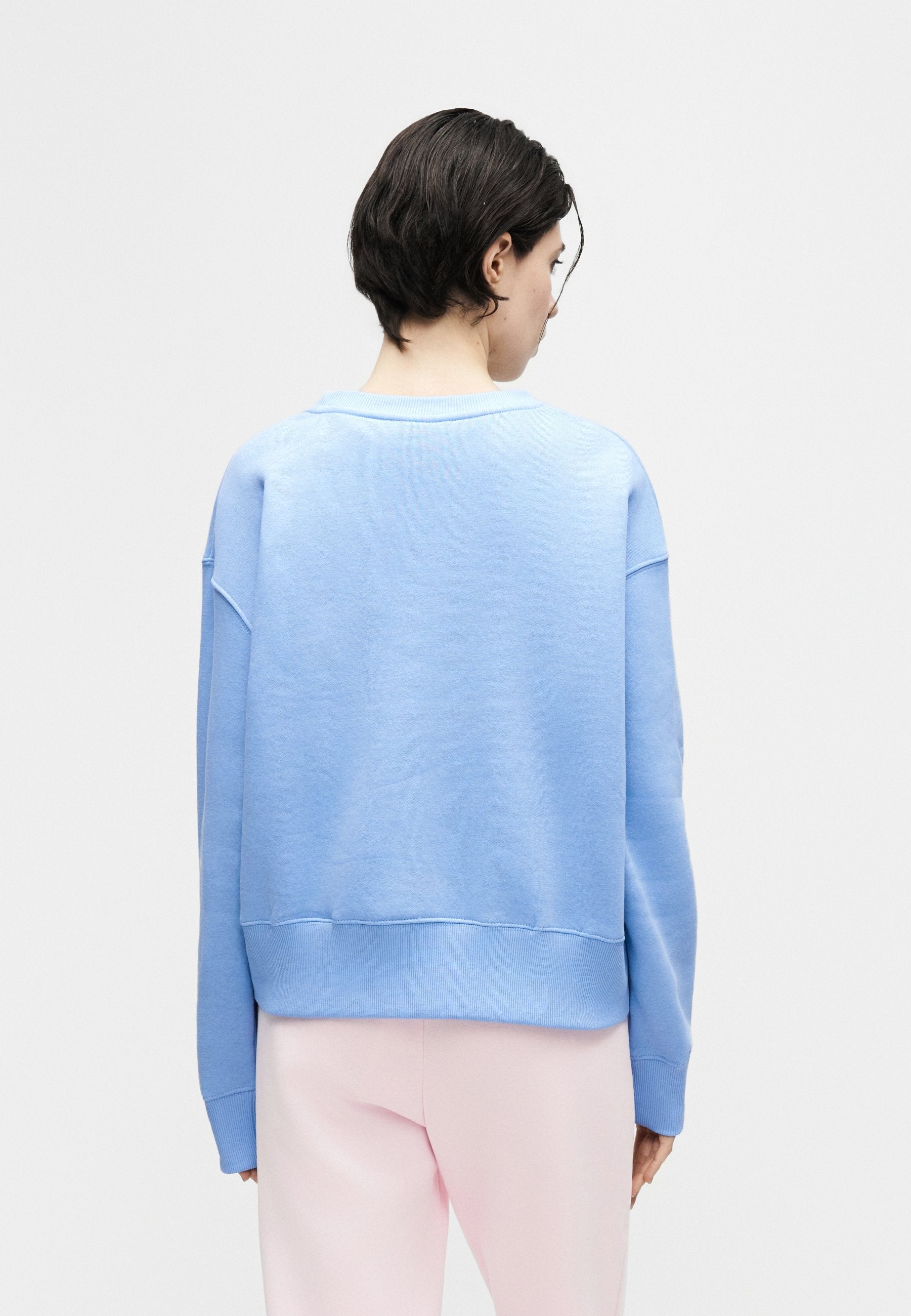 CREW - Sweatshirt - alumnium