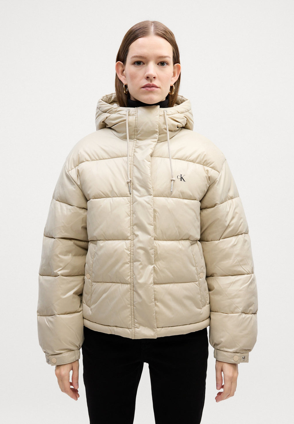 SHINE JACKET - Winter jacket - island fossil