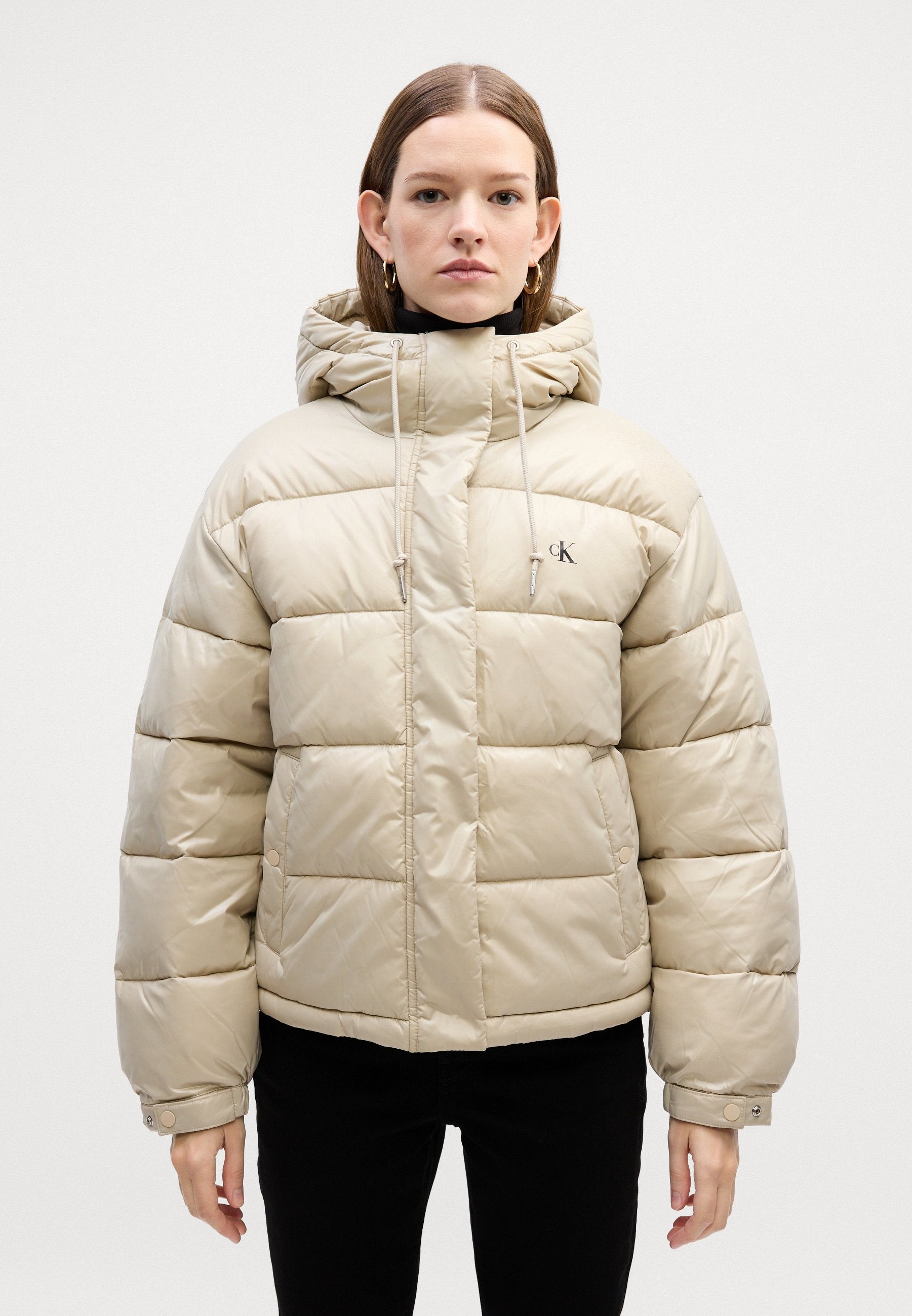 SHINE JACKET - Winter jacket - island fossil