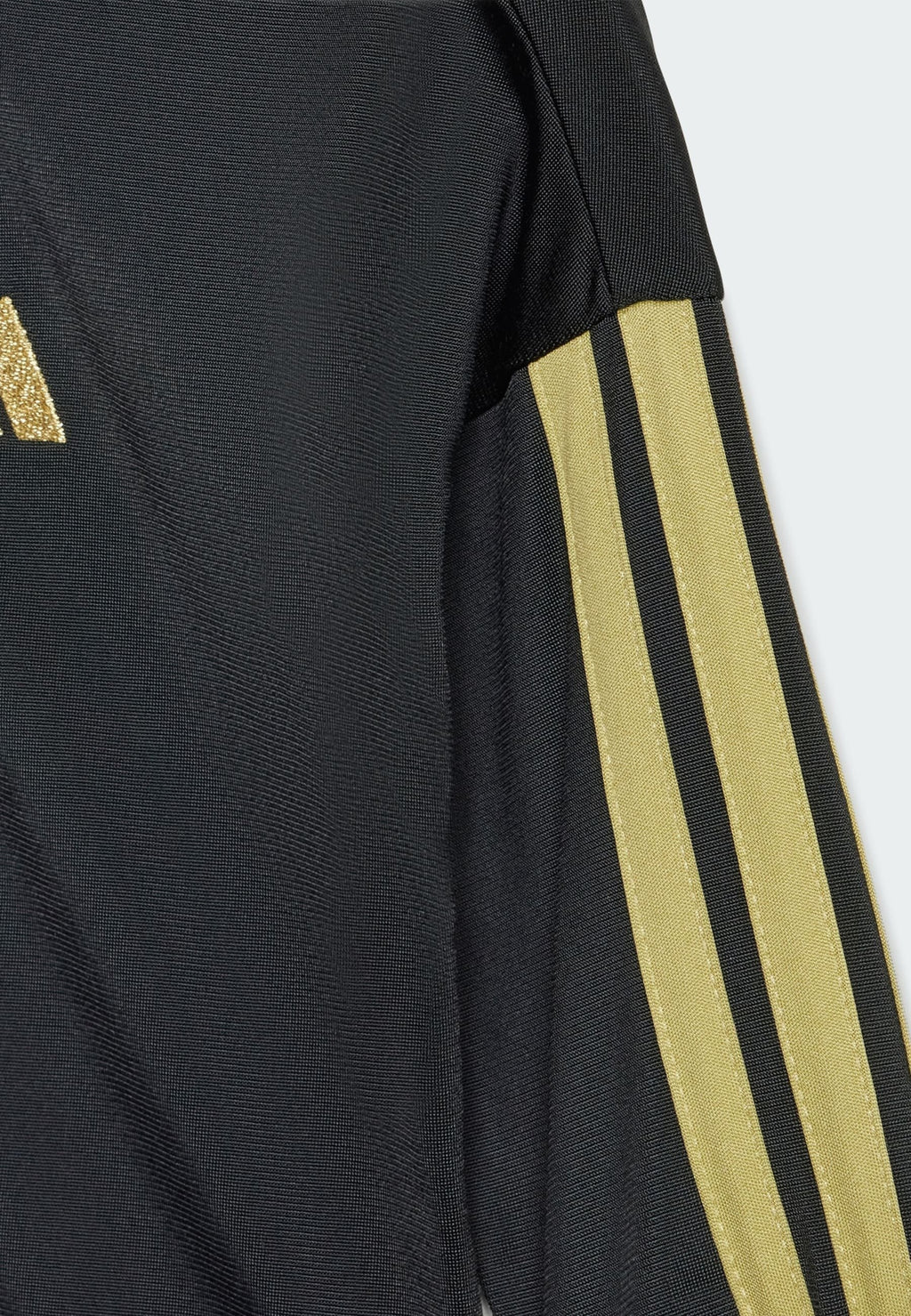 SET - Tracksuit - black   gold metallic