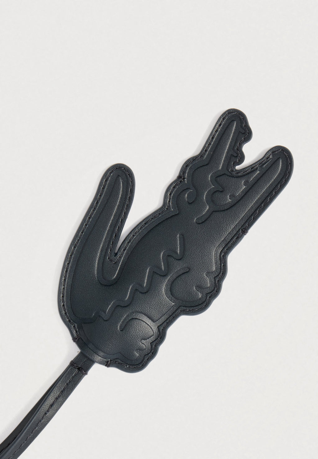 OTHER SMALL GOODS UNISEX - Keyring - anthracite