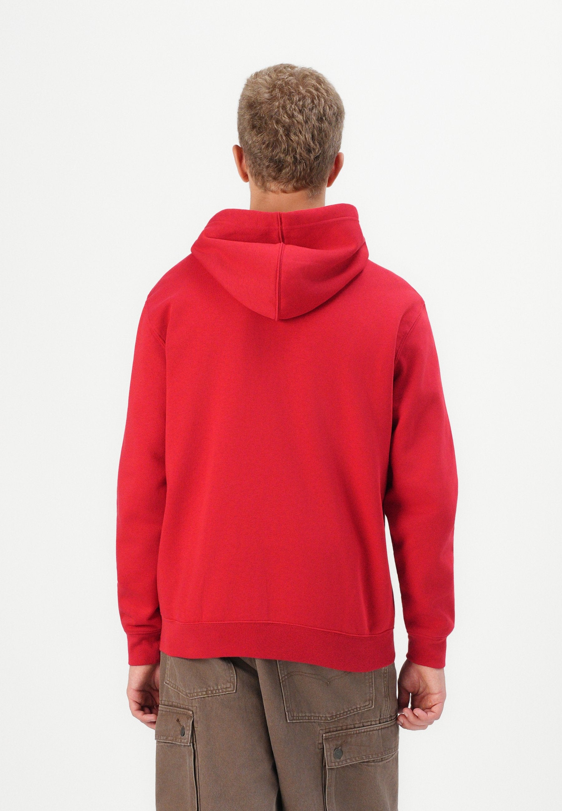 HERITAGE LOGO - Zip-up sweatshirt - red apple