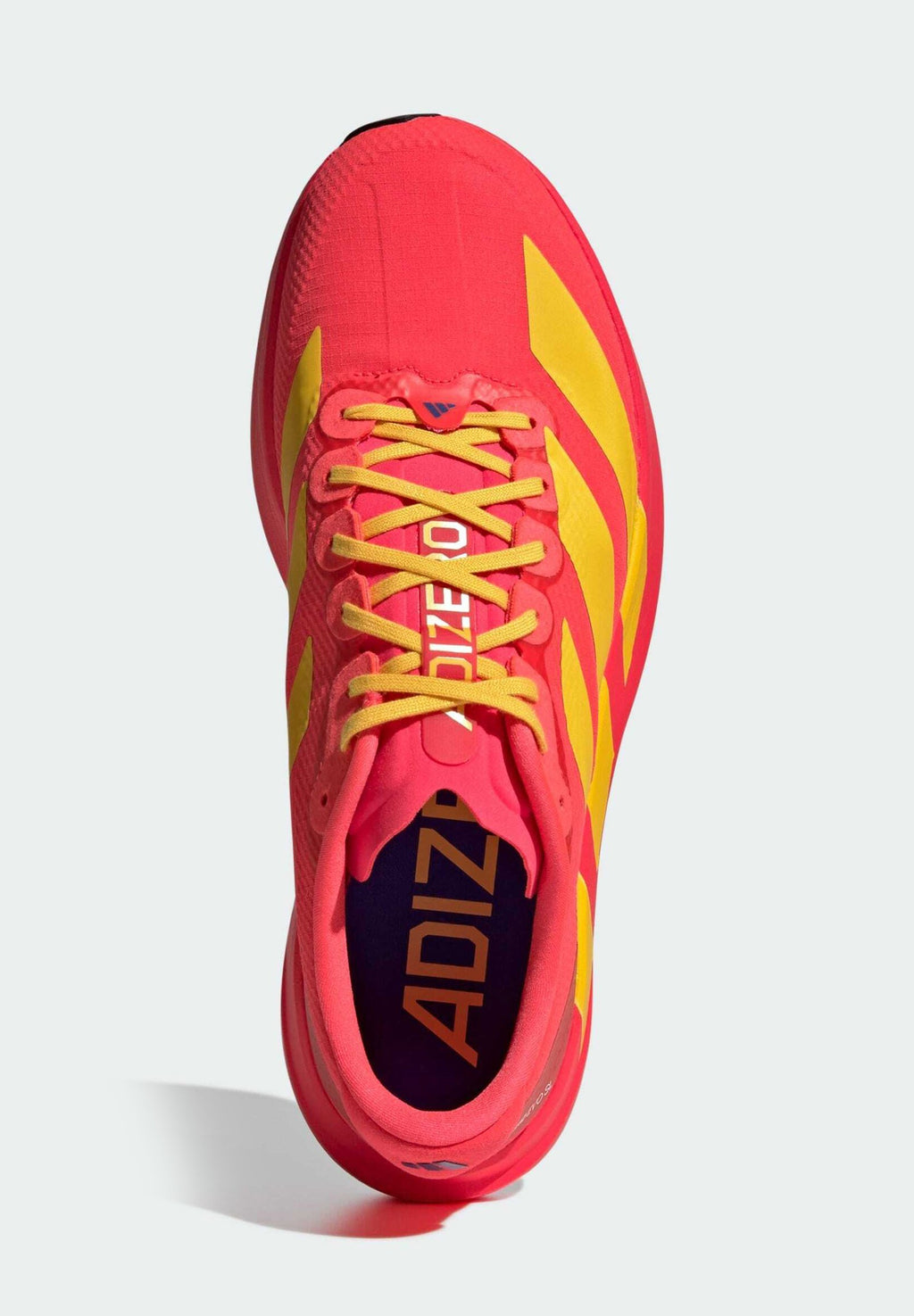 ADIZERO EVO SL WOVEN M - Trainers - lucid red bold gold semi lucid blue