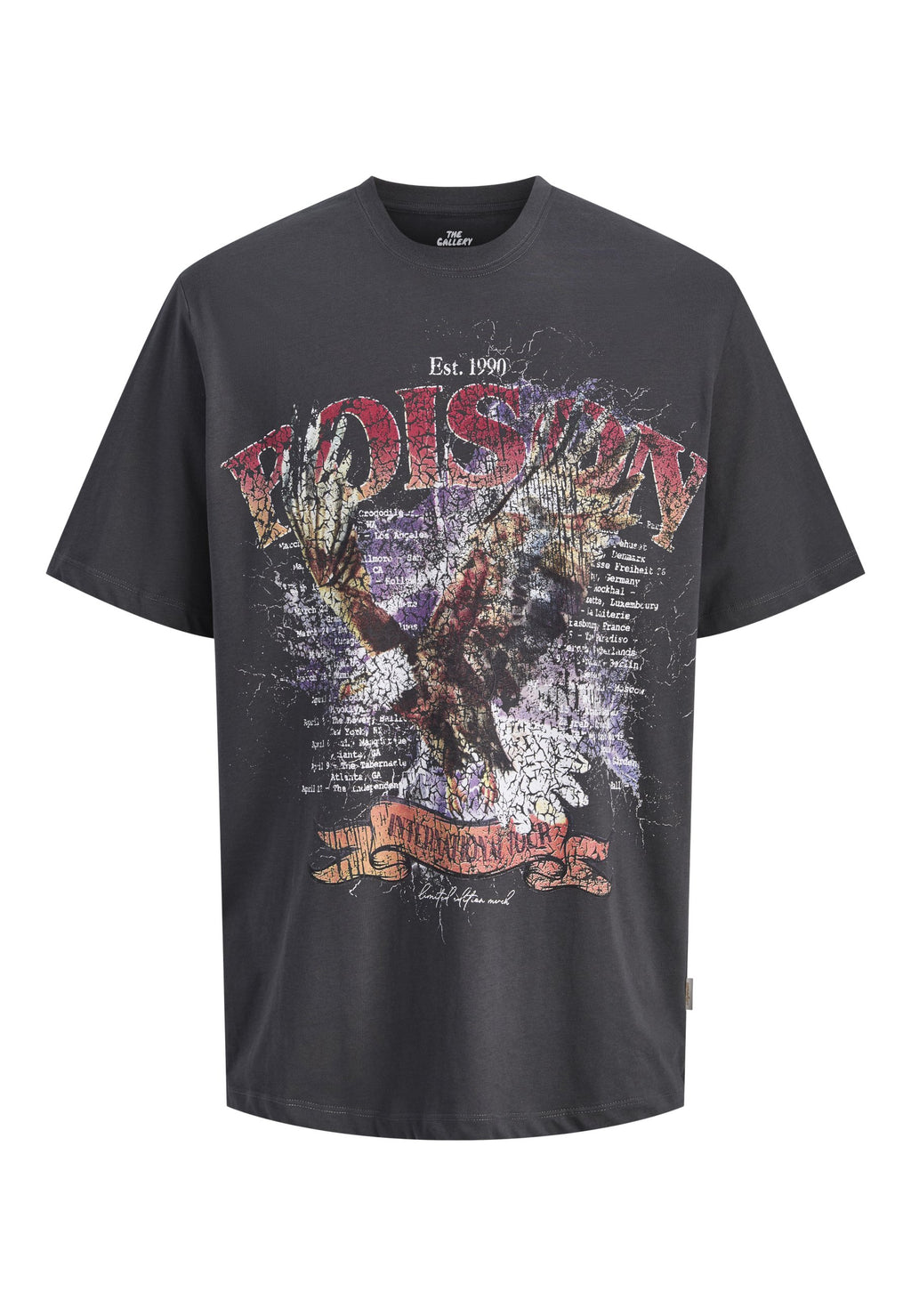 T- - Print T-shirt - asphalt