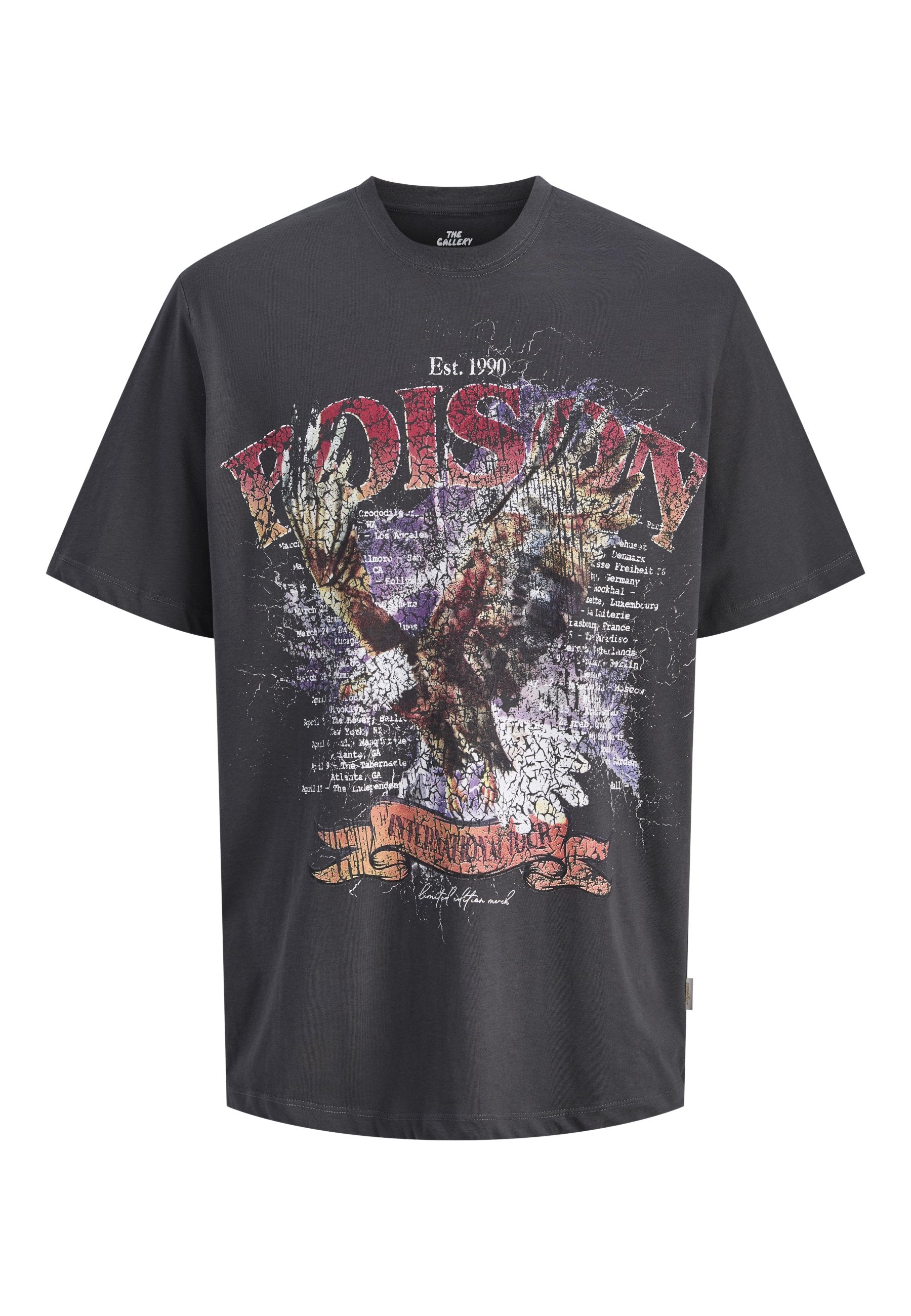 T- - Print T-shirt - asphalt