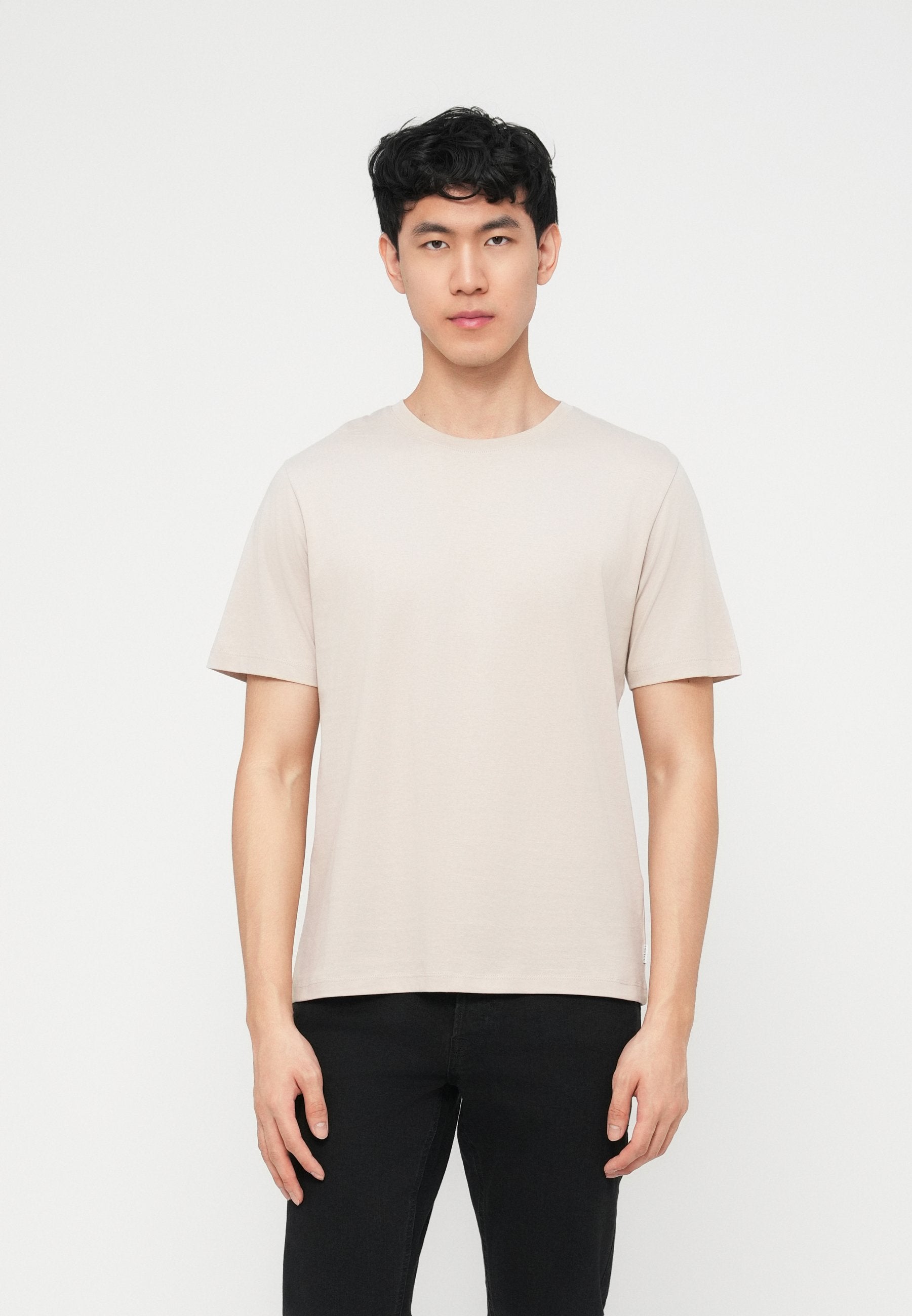 JJEORGANIC BASIC TEE O NECK 5 PACK - T-shirt basique - moonbeam/crockery/olive night/castlerock/ultimate grey