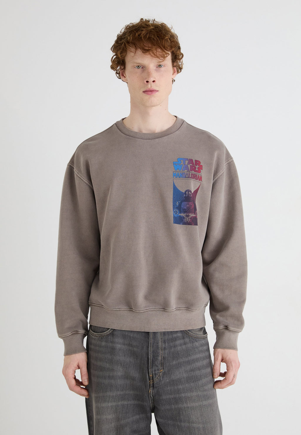 CREW - Sweatshirt - plymouth rock