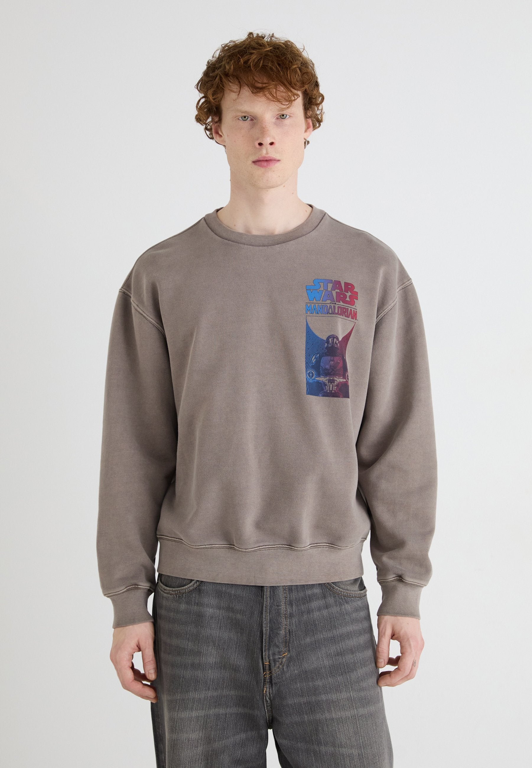 CREW - Sweatshirt - plymouth rock