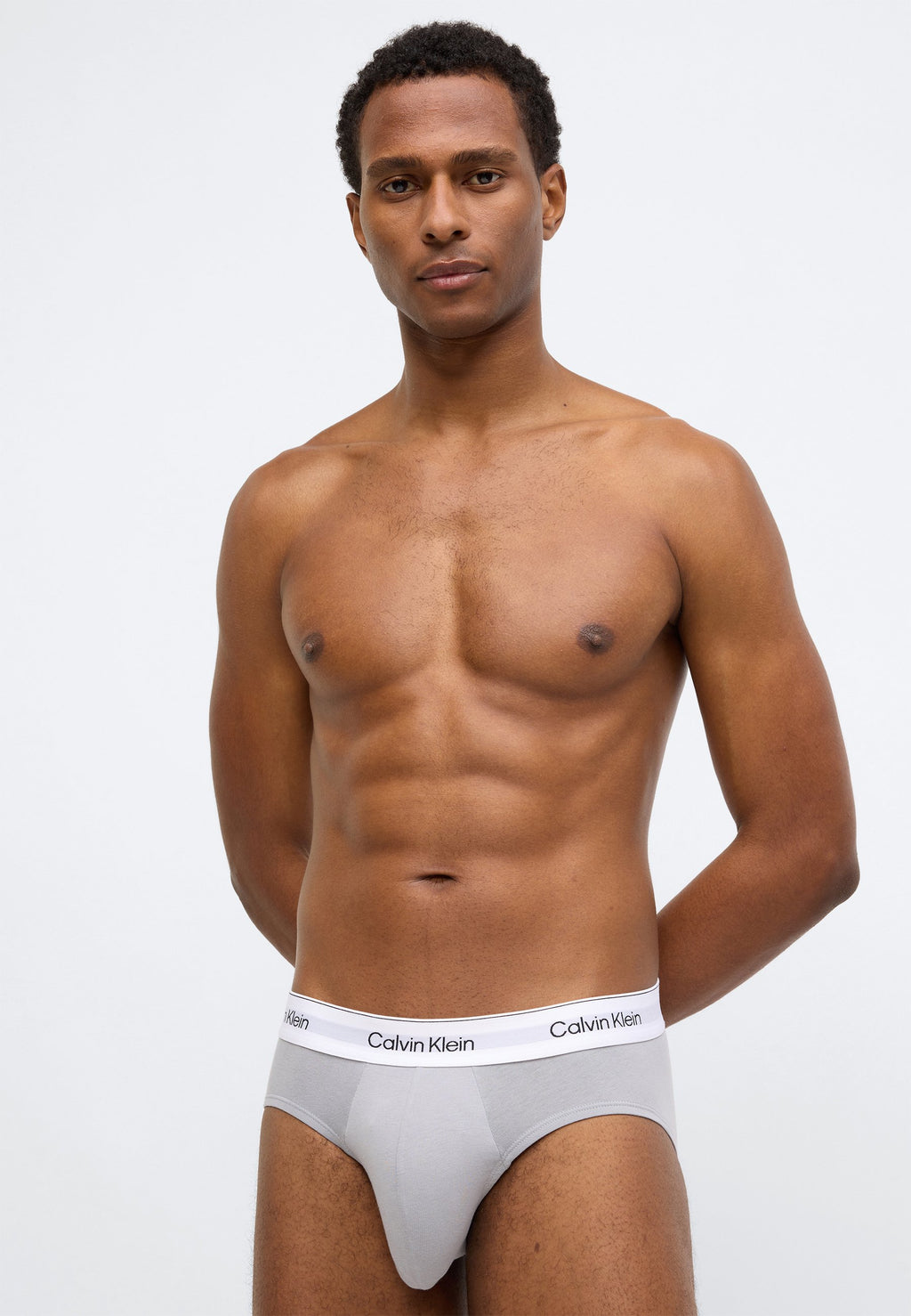 HIP BRIEF 3 PACK ICON COTTON STRETCH - Briefs - sleet/black/ashford